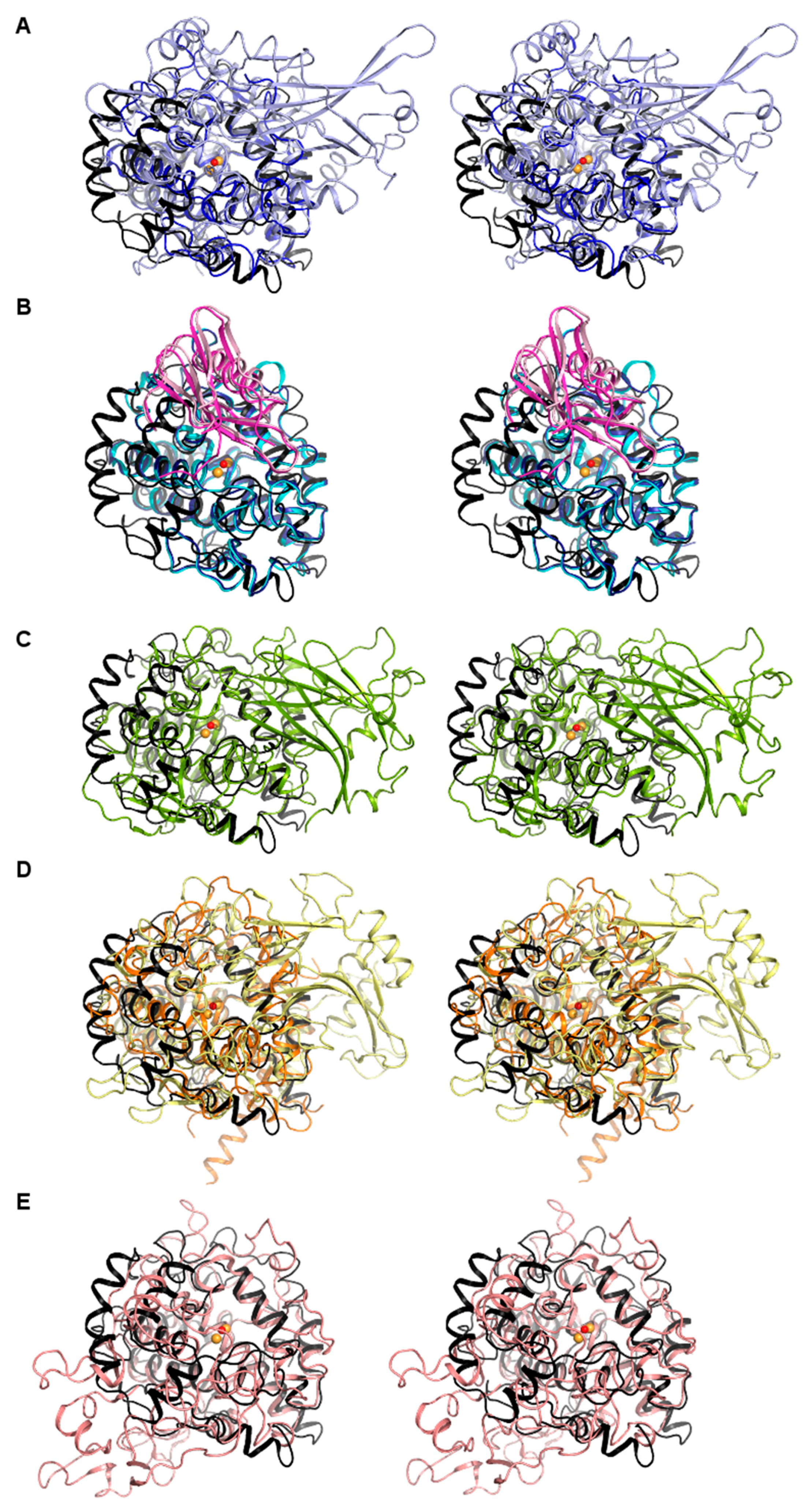 Biomolecules 13 01360 g004