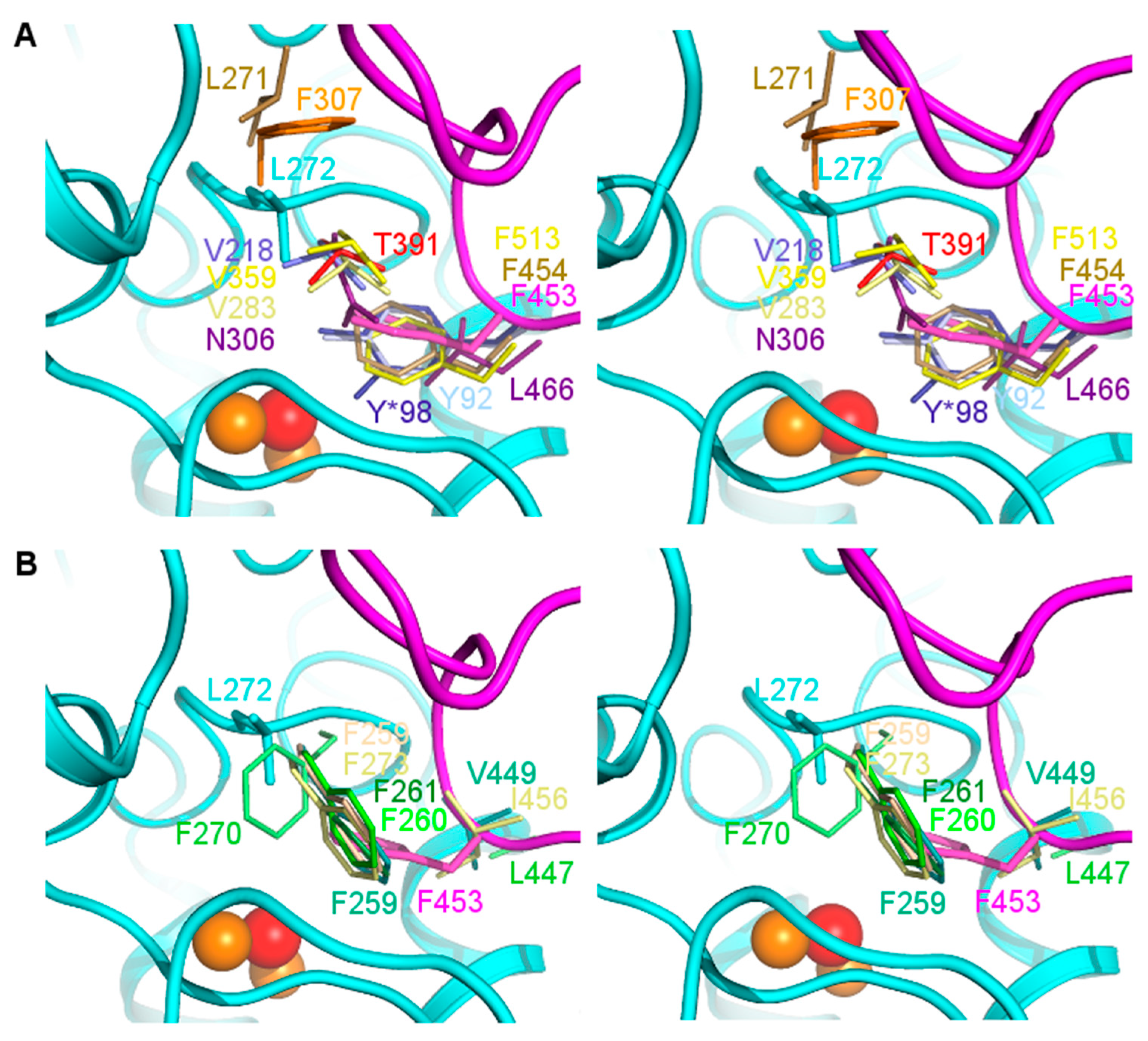 Biomolecules 13 01360 g006