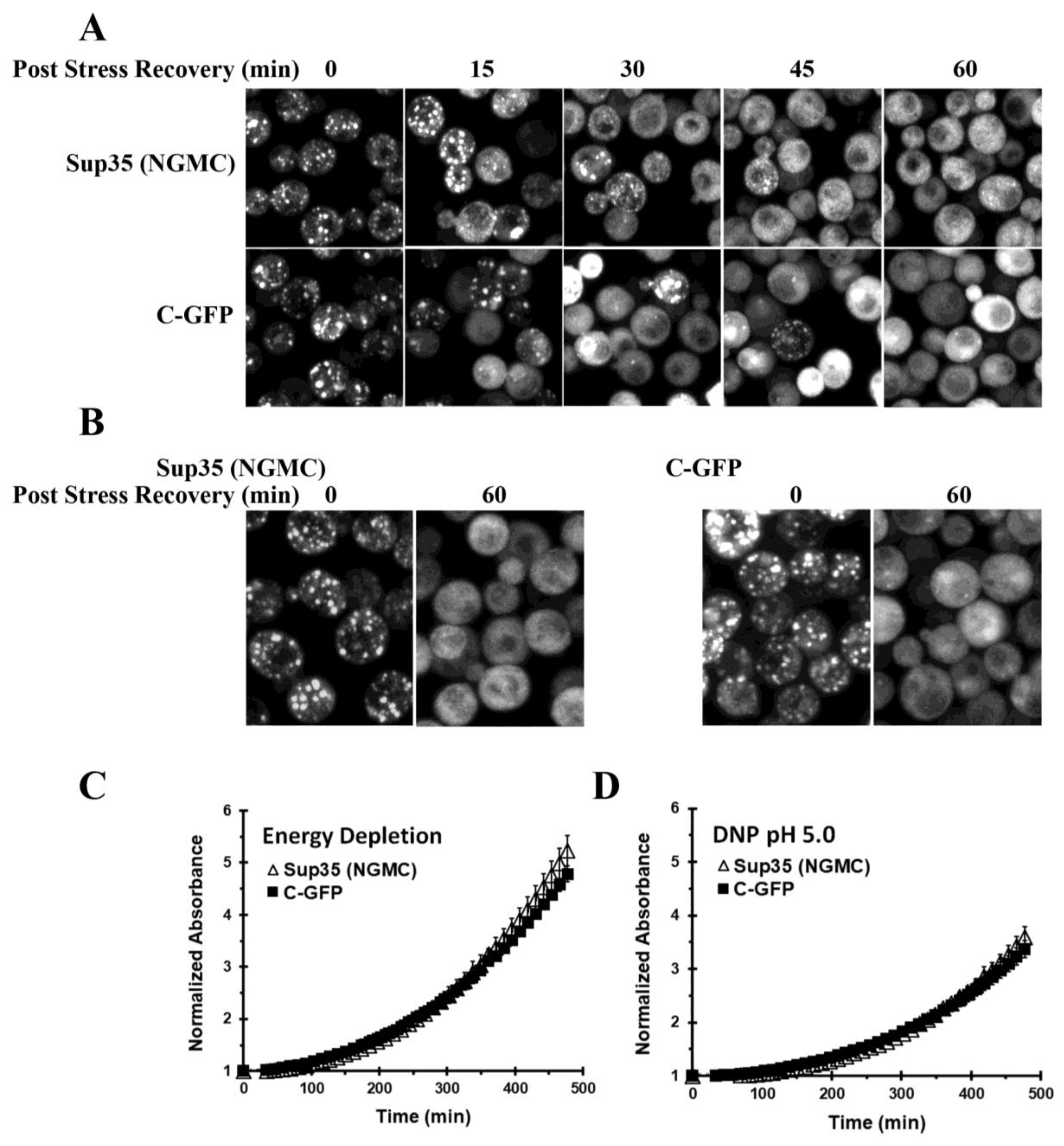 Biomolecules 13 01370 g005