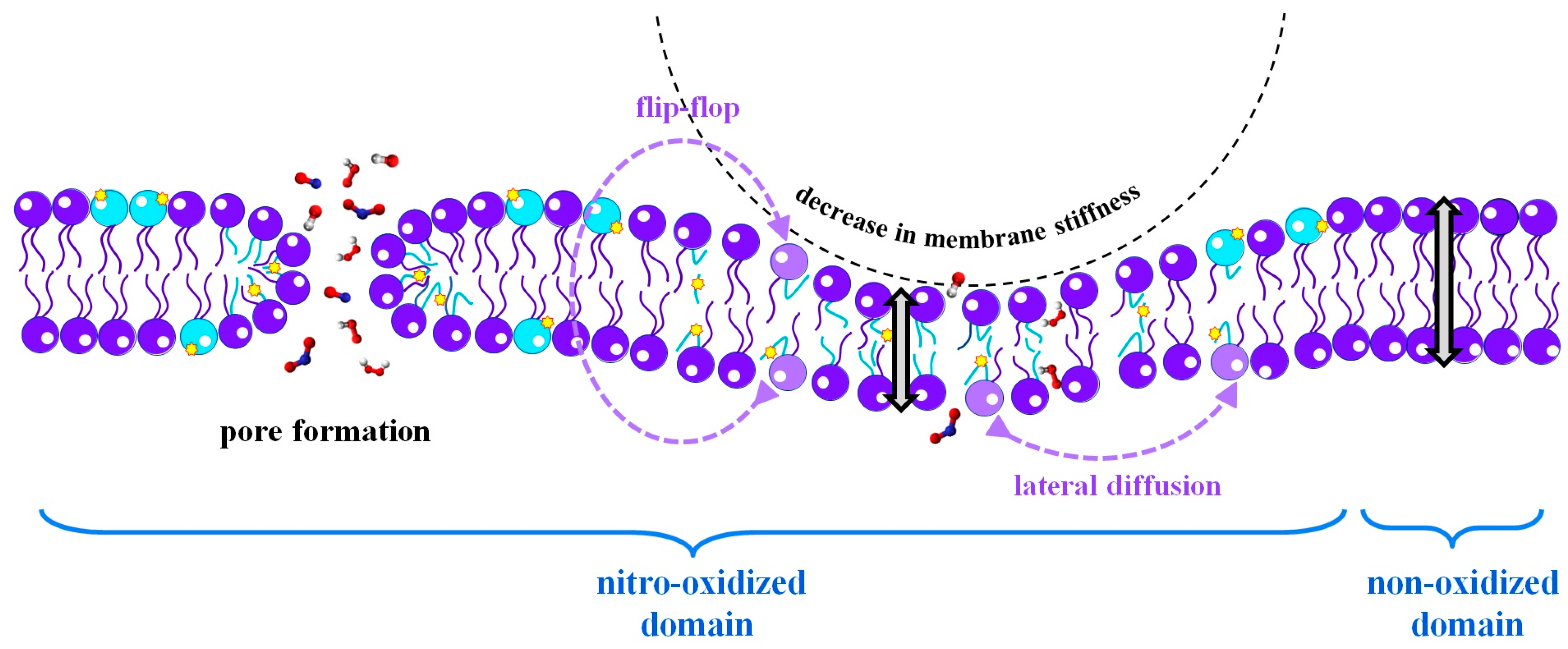 Biomolecules 13 01371 g002