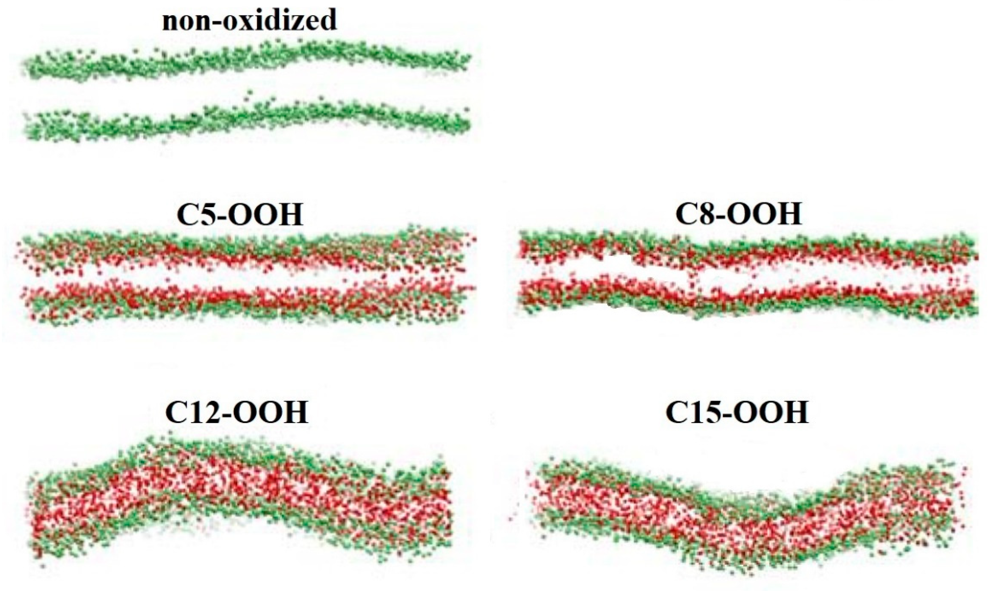Biomolecules 13 01371 g004