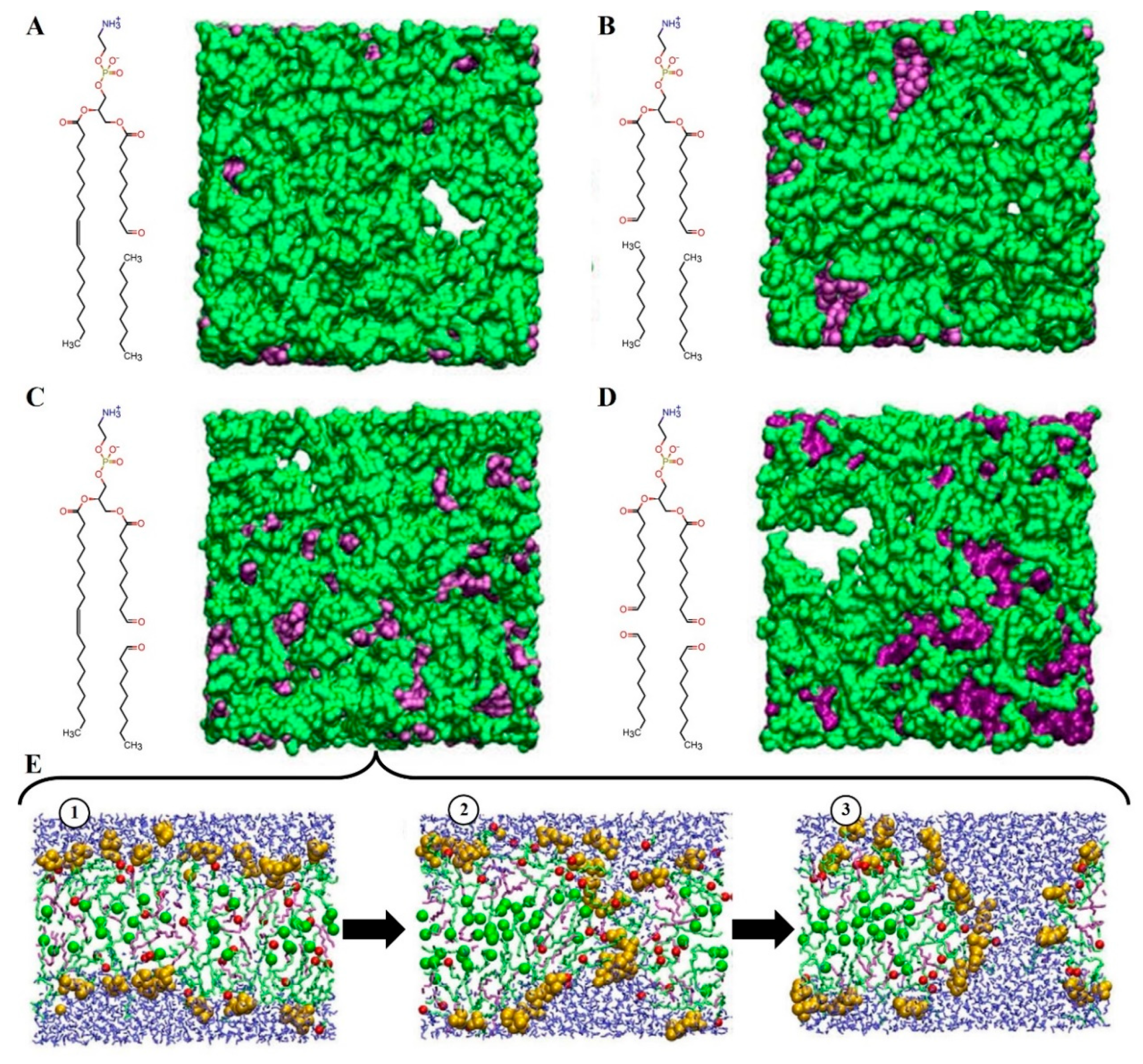 Biomolecules 13 01371 g005