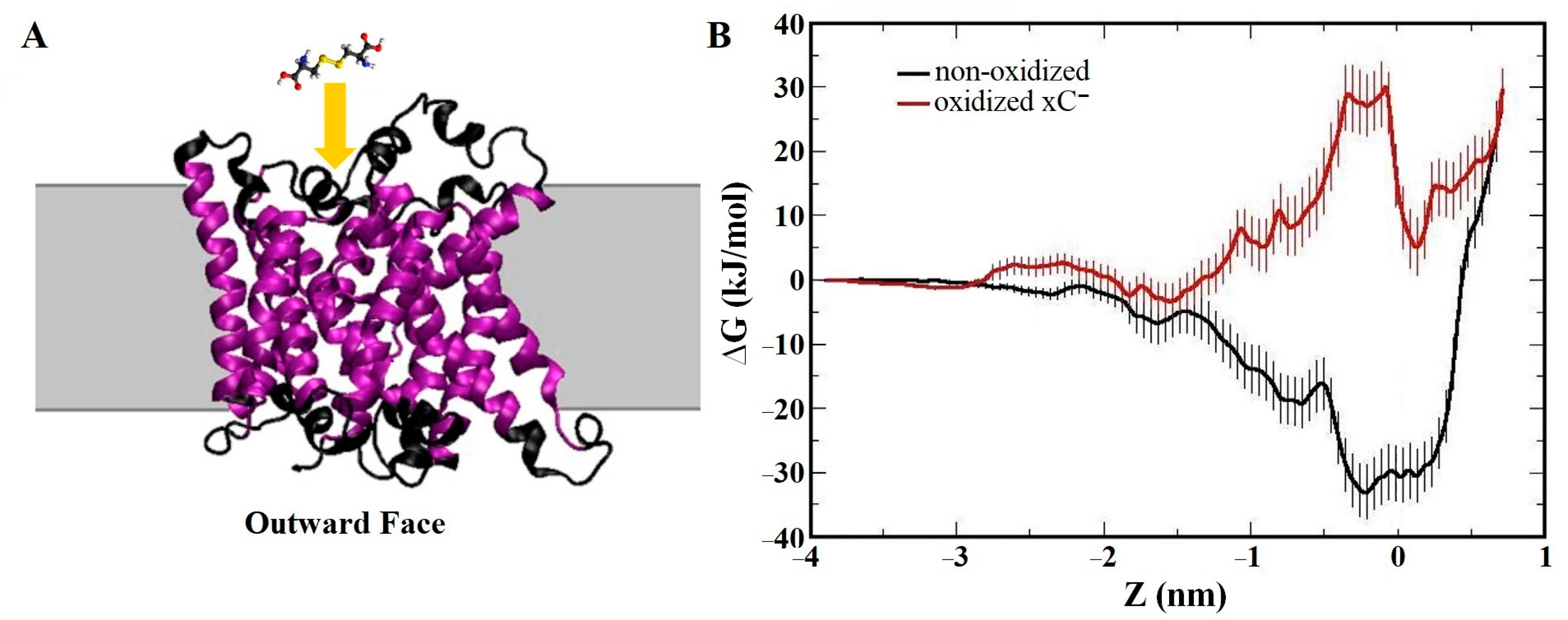 Biomolecules 13 01371 g010