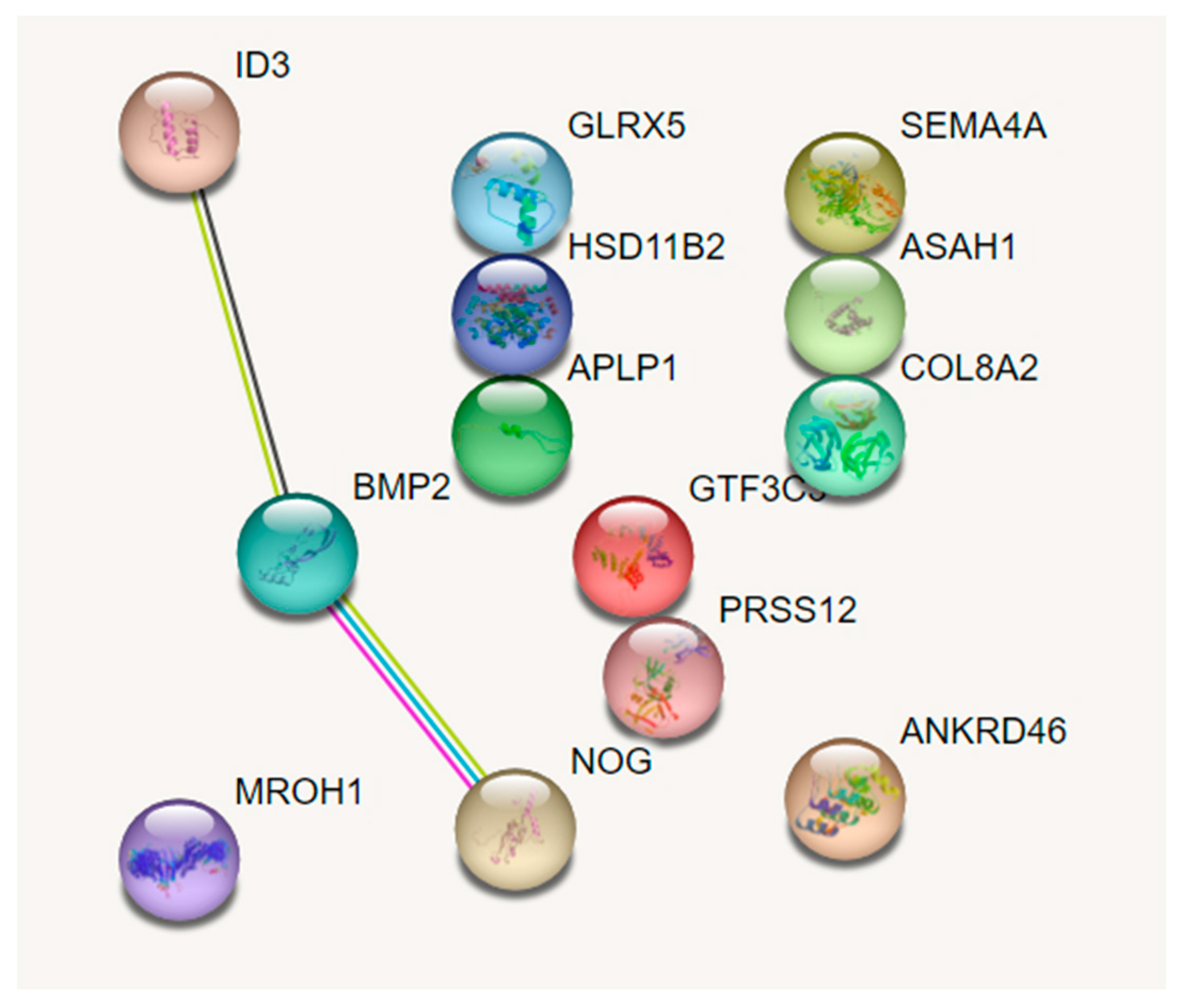 Biomolecules 13 01373 g001
