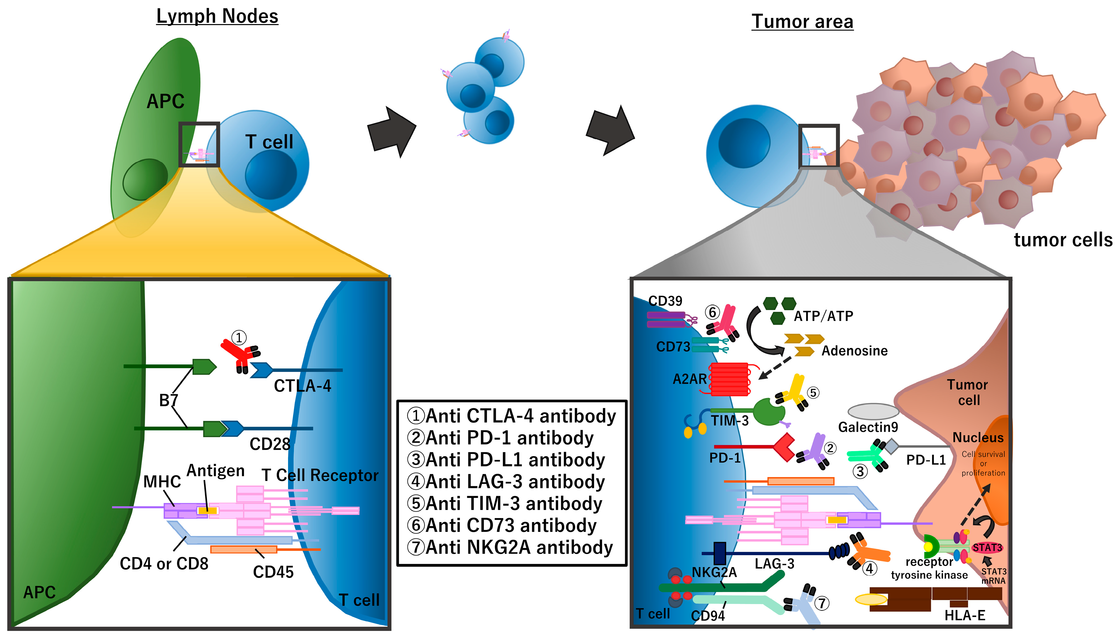 Biomolecules 13 01377 g002