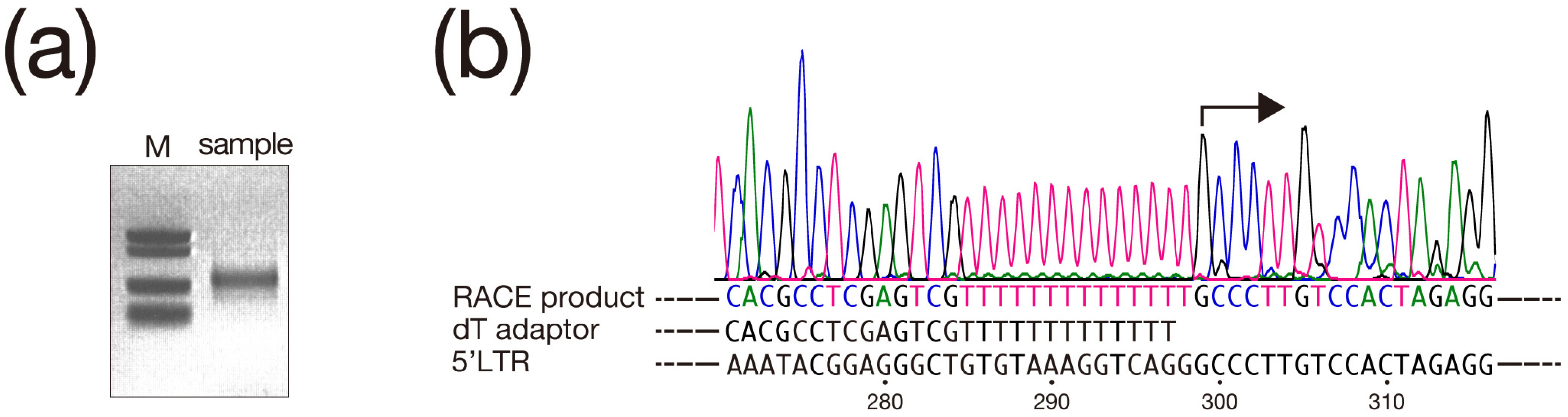 Biomolecules 13 01378 g002