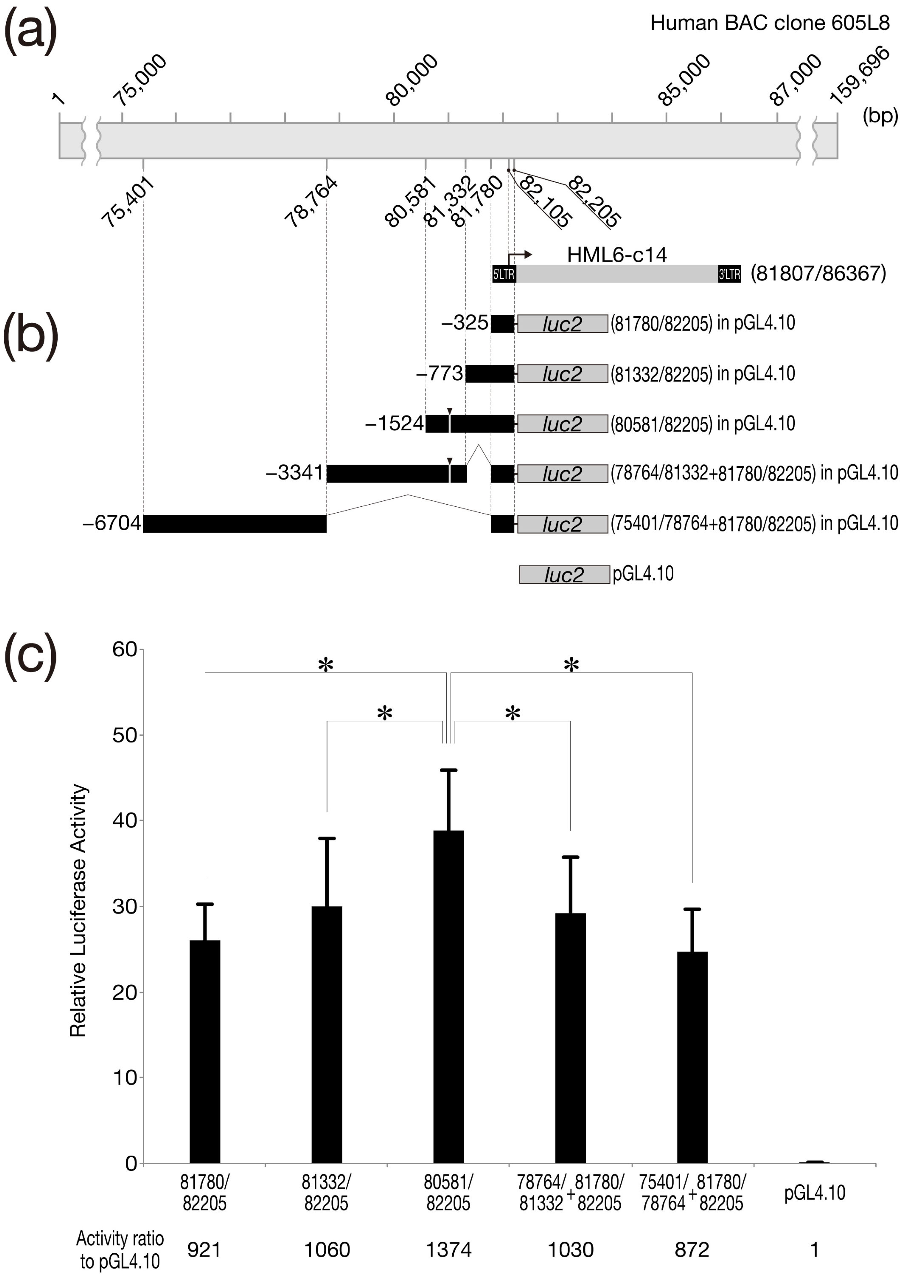Biomolecules 13 01378 g005