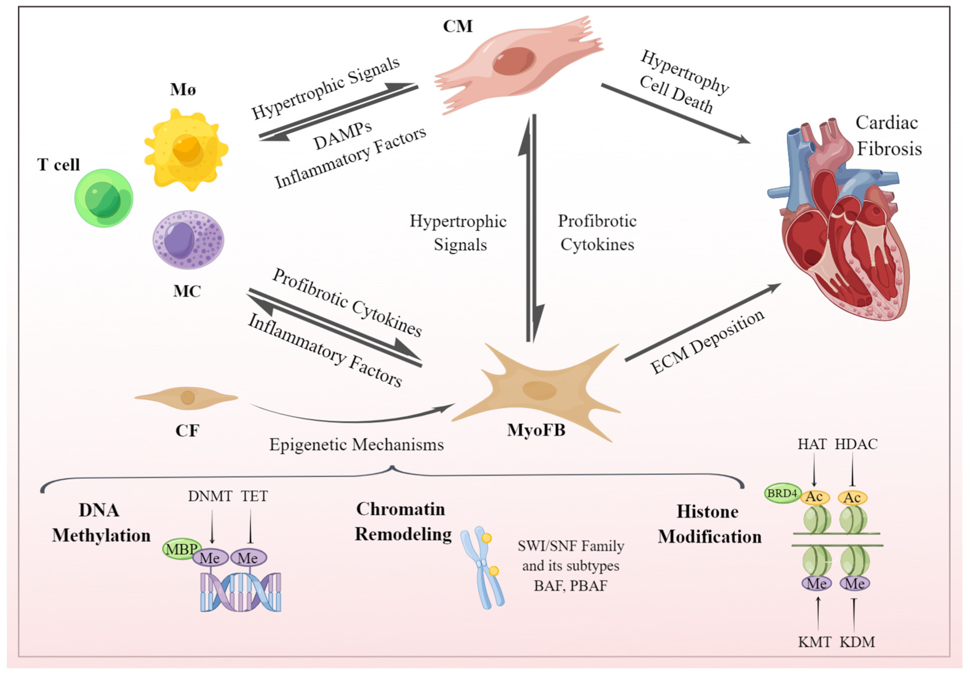 Biomolecules, Free Full-Text