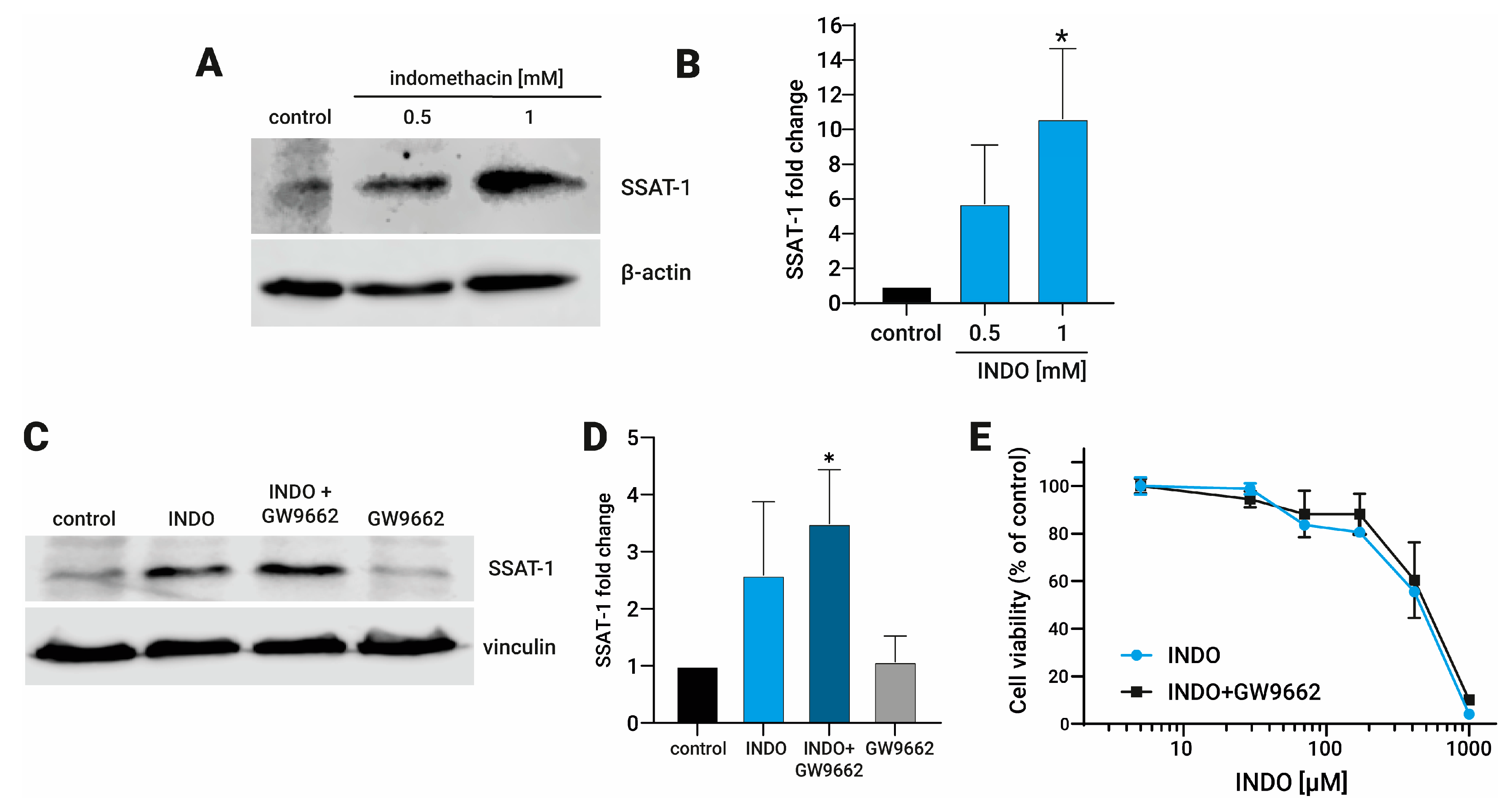 Biomolecules 13 01383 g001 Biomolecules 13 01383 g001