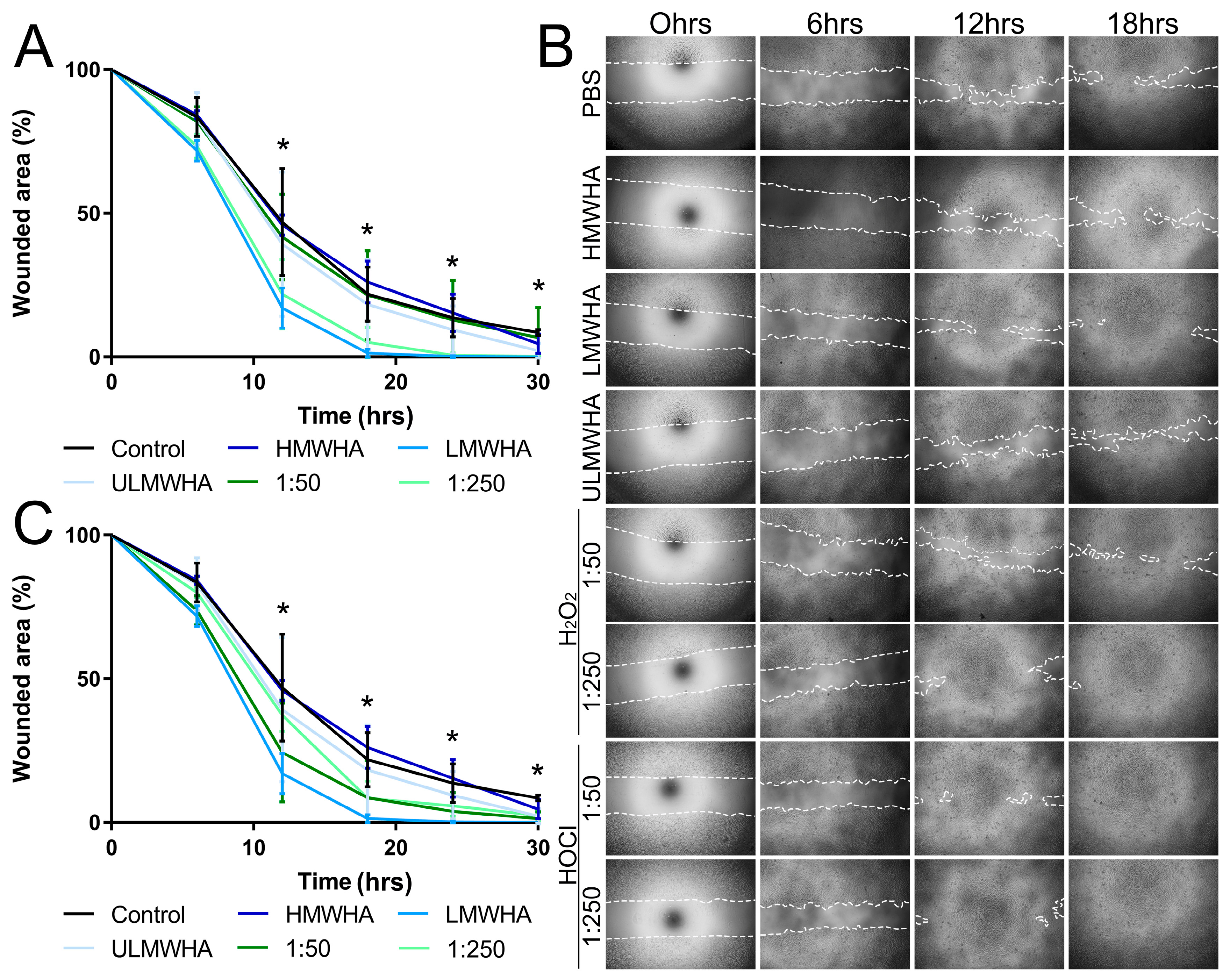 Biomolecules 13 01385 g005 Biomolecules 13 01385 g005