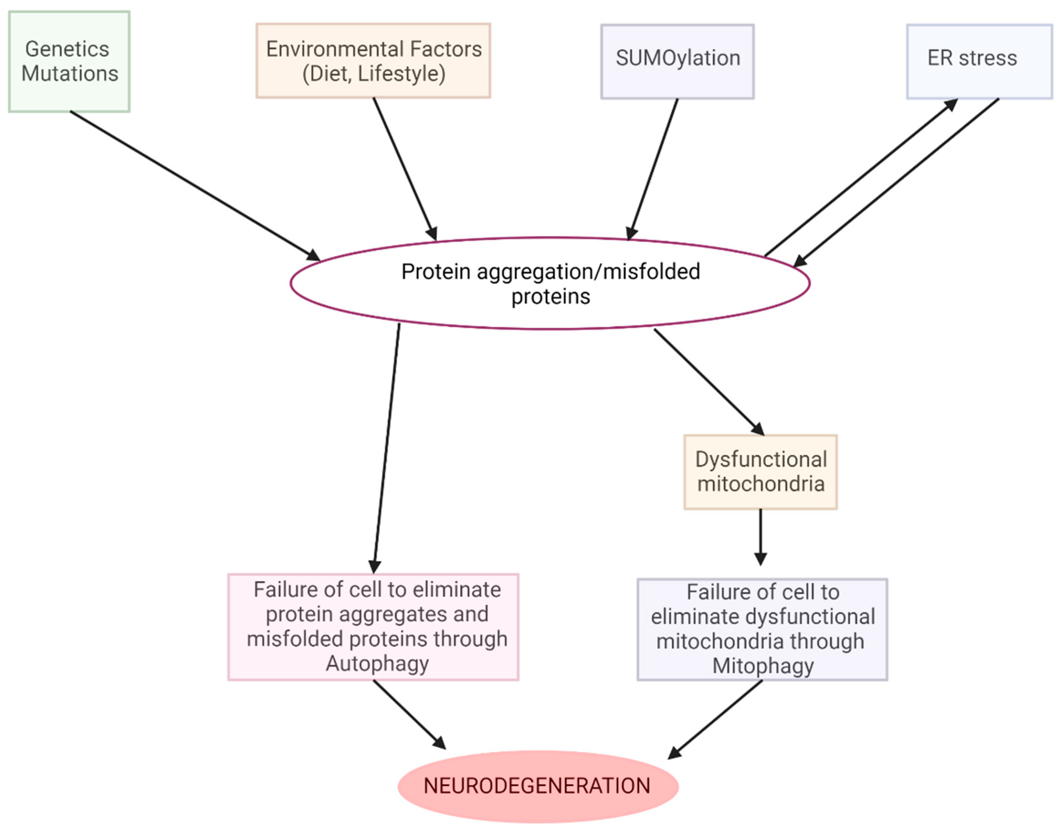 Biomolecules 13 01388 g002 Biomolecules 13 01388 g002