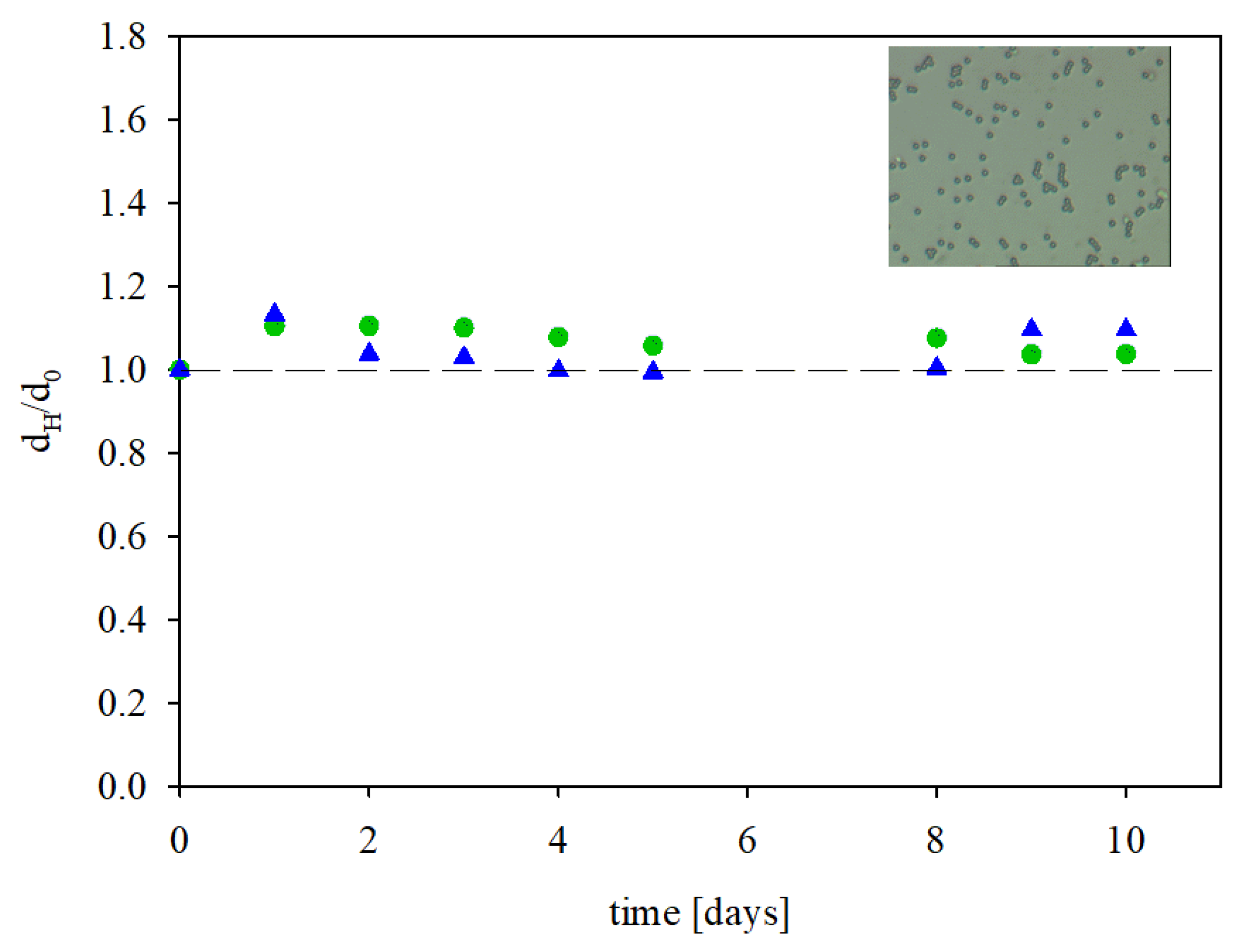 Biomolecules 13 01390 g006