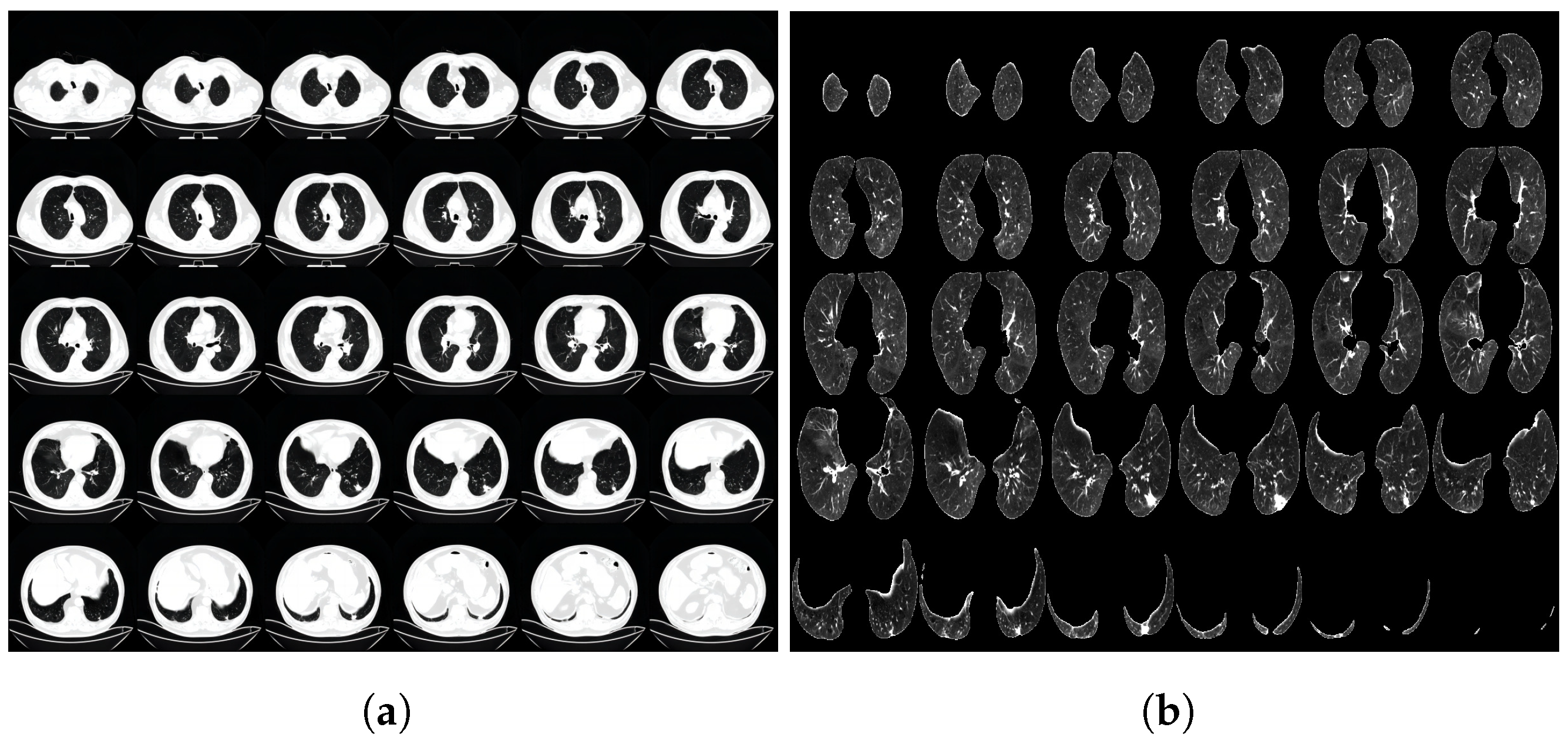 Biomolecules 13 01391 g001