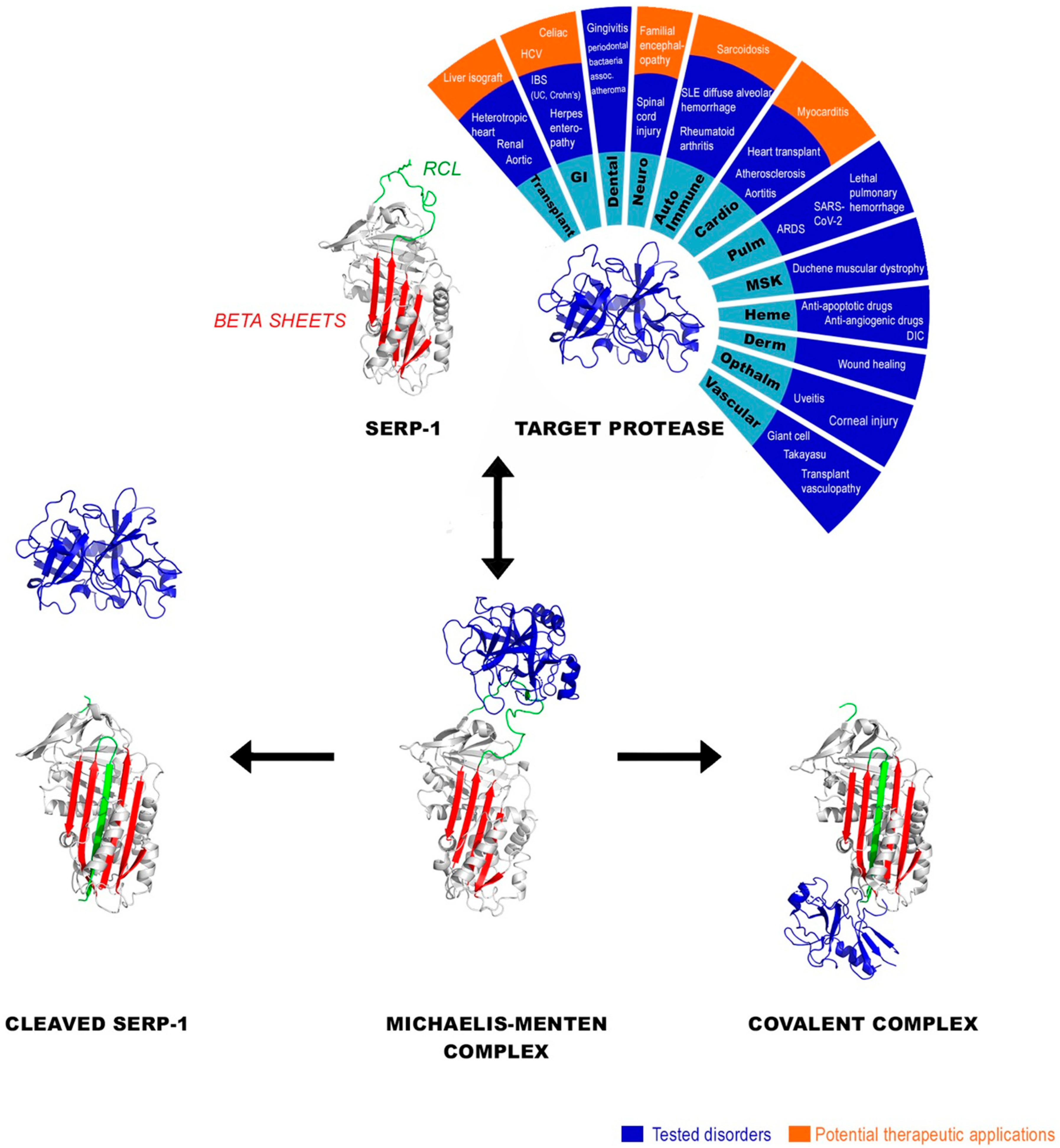 Biomolecules 13 01393 g001