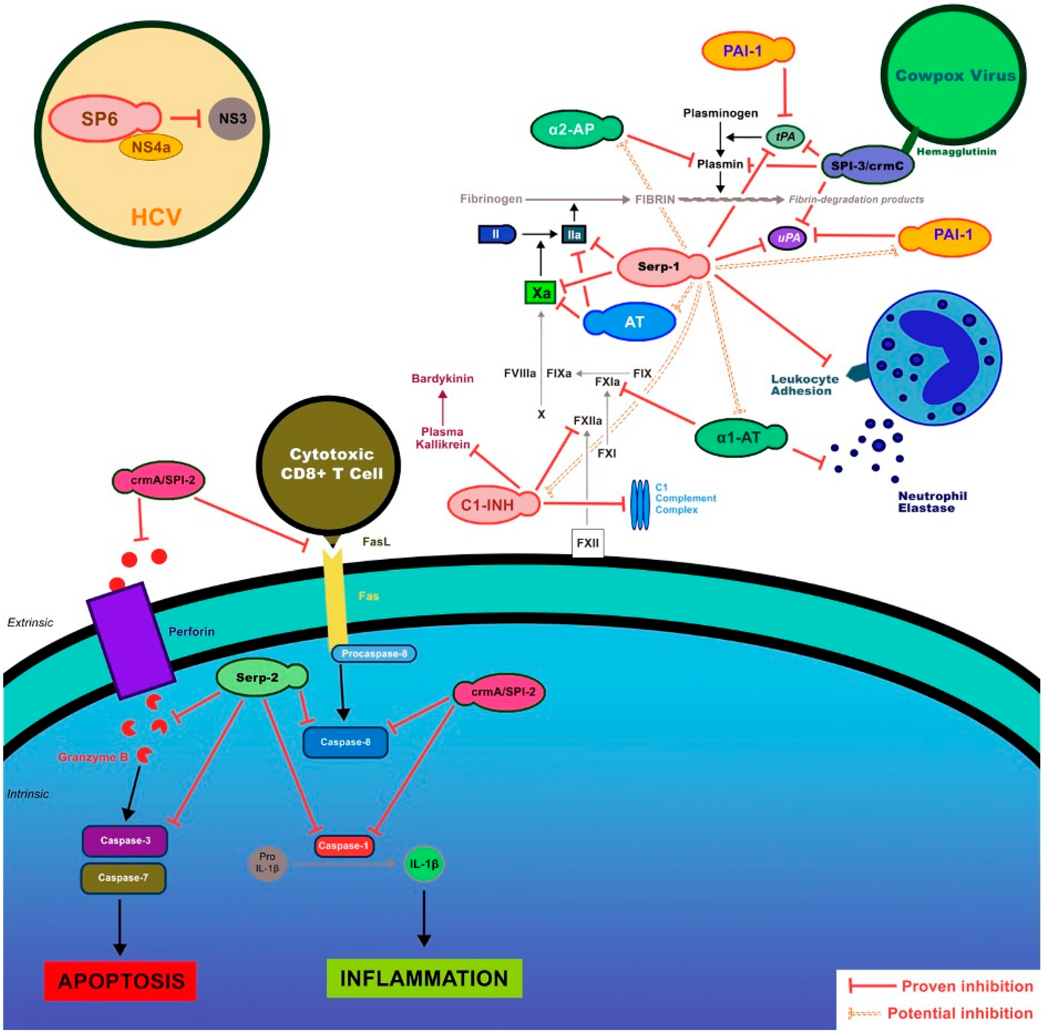 Biomolecules 13 01393 g002