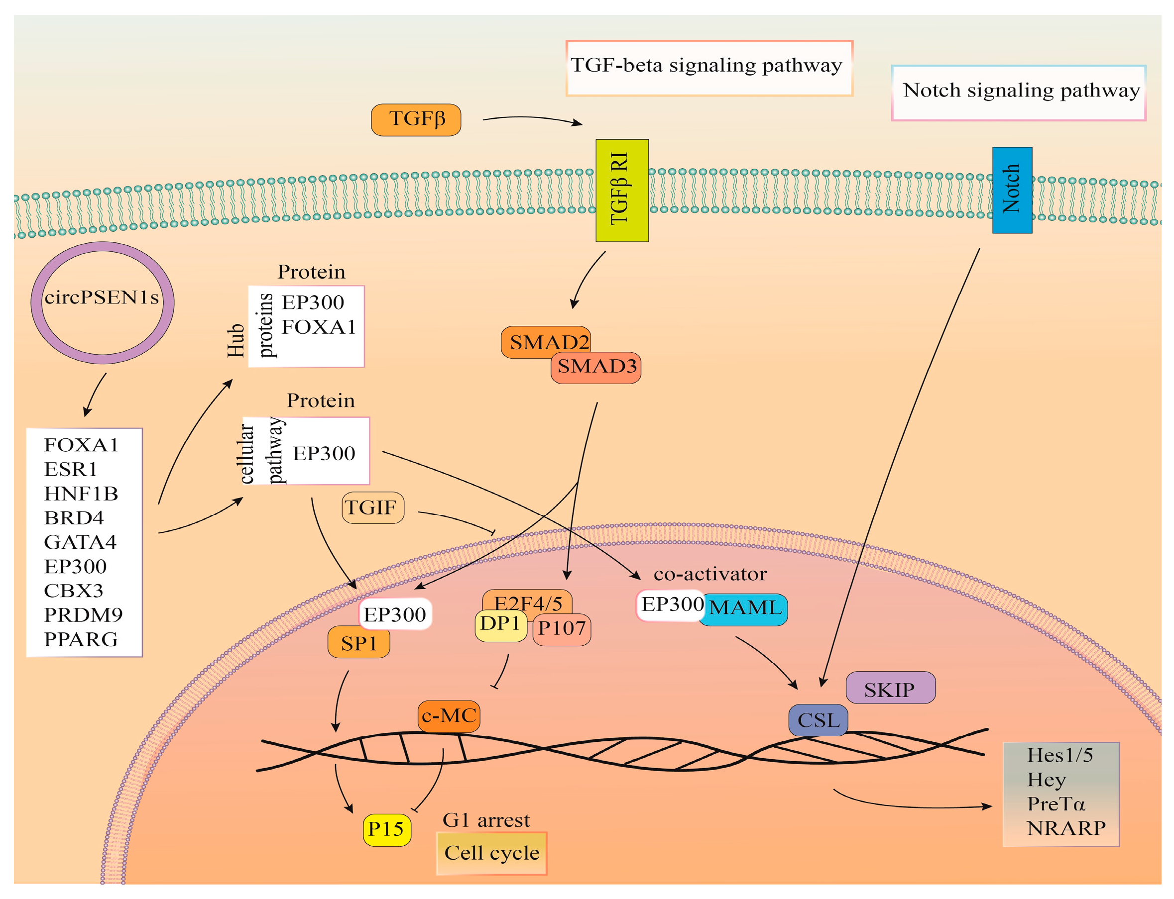 Biomolecules 13 01401 g008