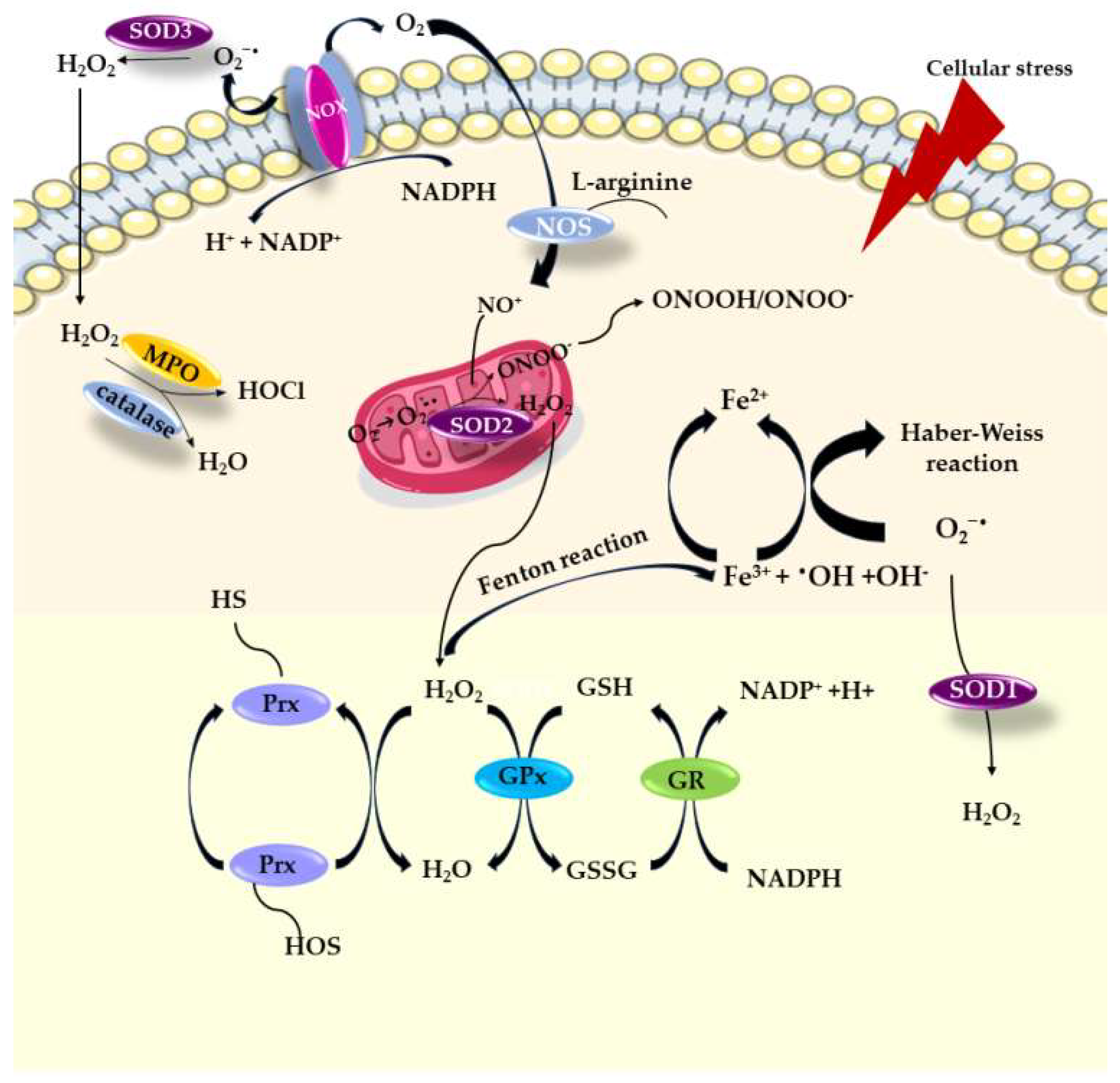 Biomolecules 13 01402 g001 Biomolecules 13 01402 g001