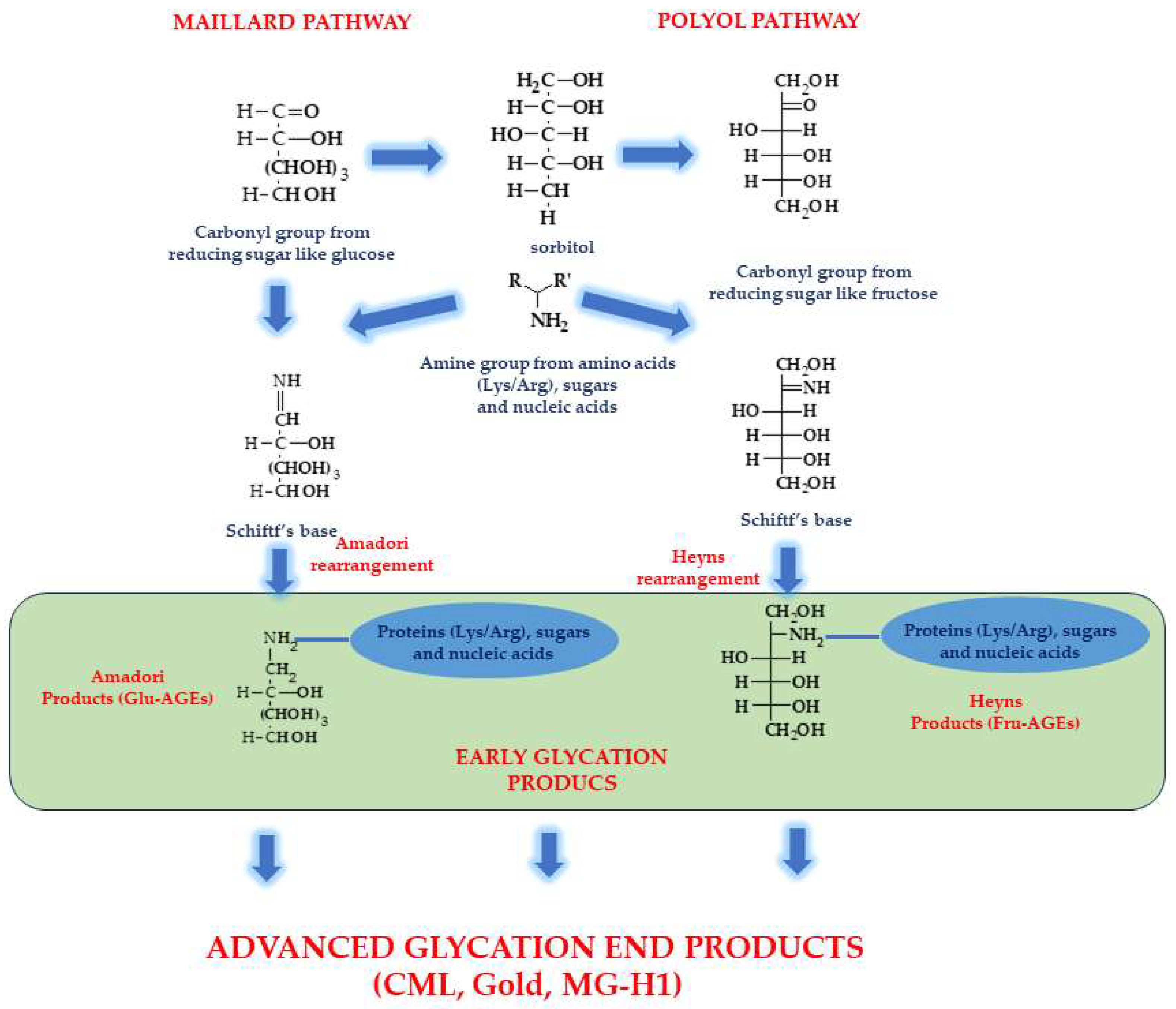 Biomolecules 13 01402 g003 Biomolecules 13 01402 g003
