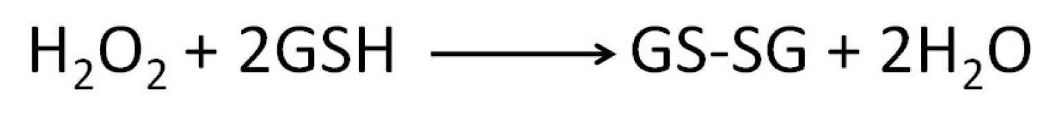 Biomolecules 13 01402 g005 Biomolecules 13 01402 g005