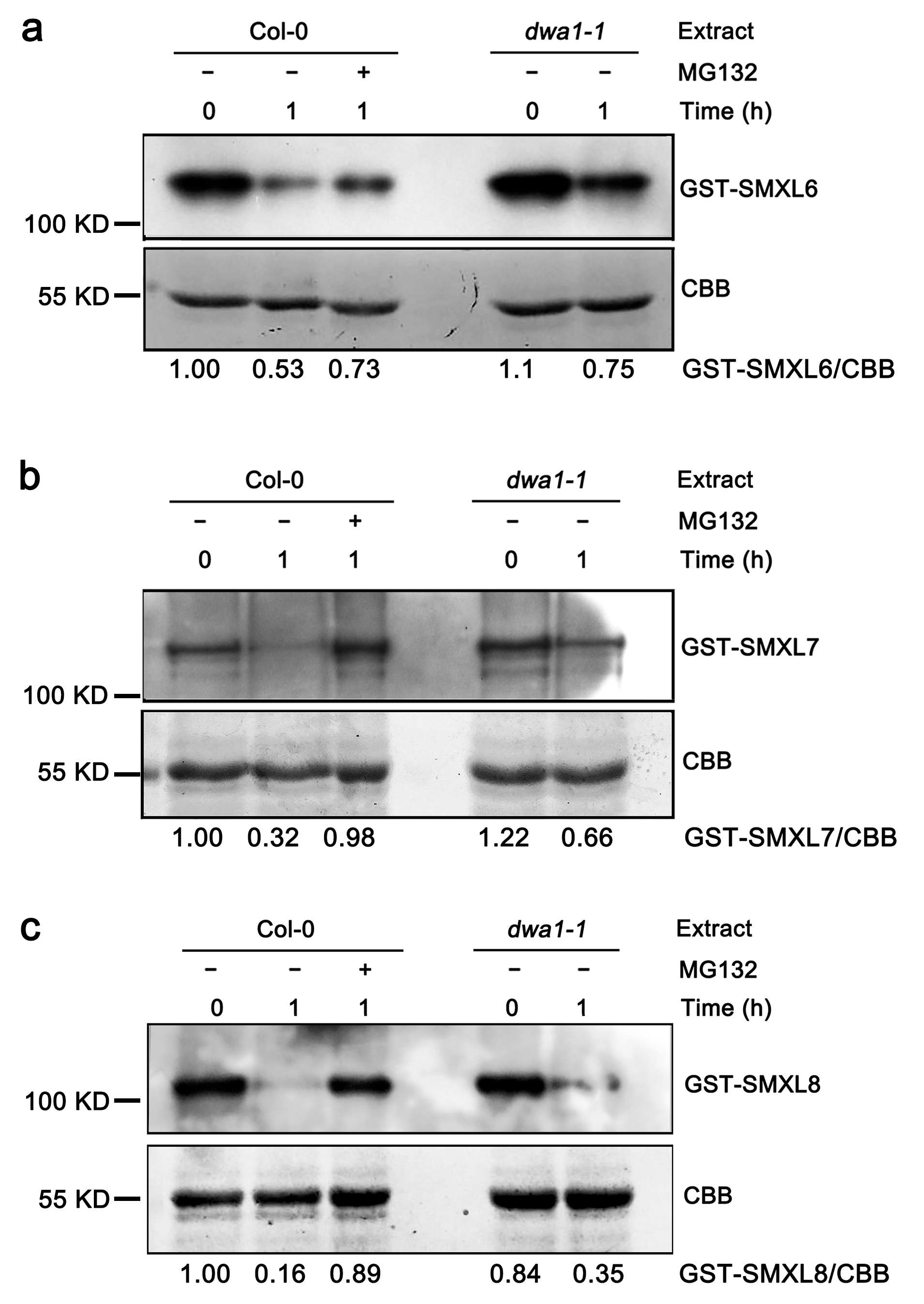Biomolecules 13 01406 g002
