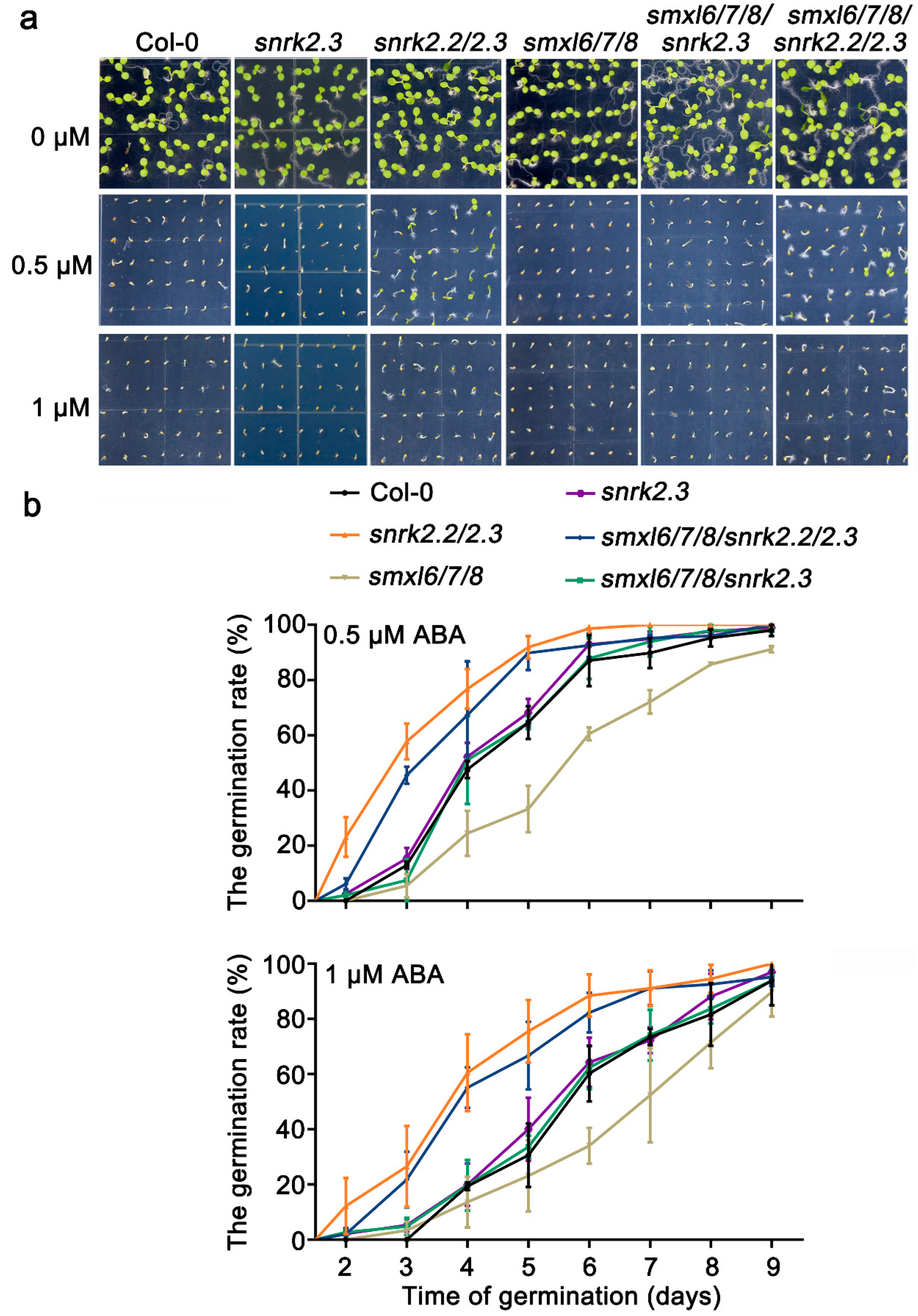 Biomolecules 13 01406 g006