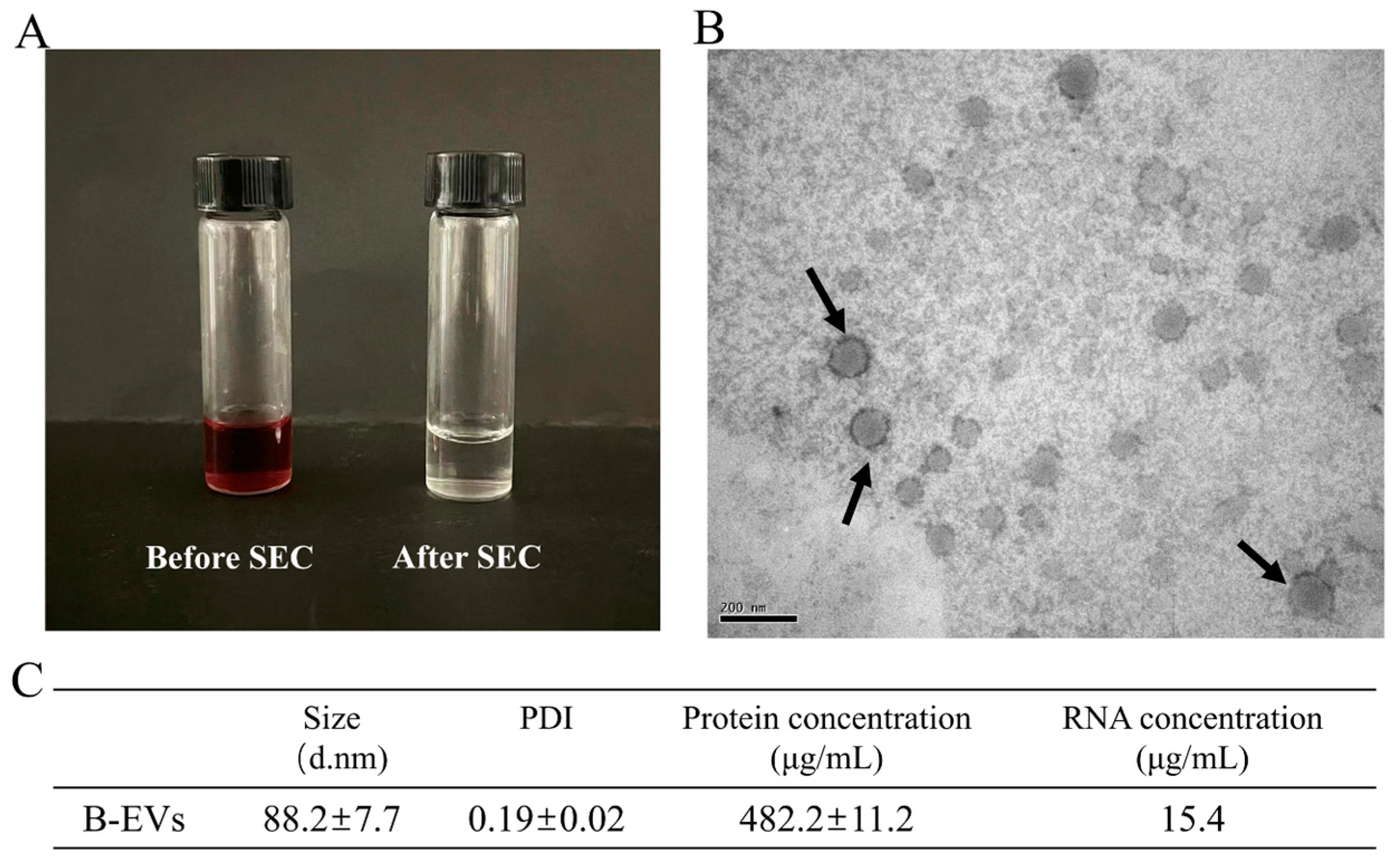 Biomolecules 13 01412 g001
