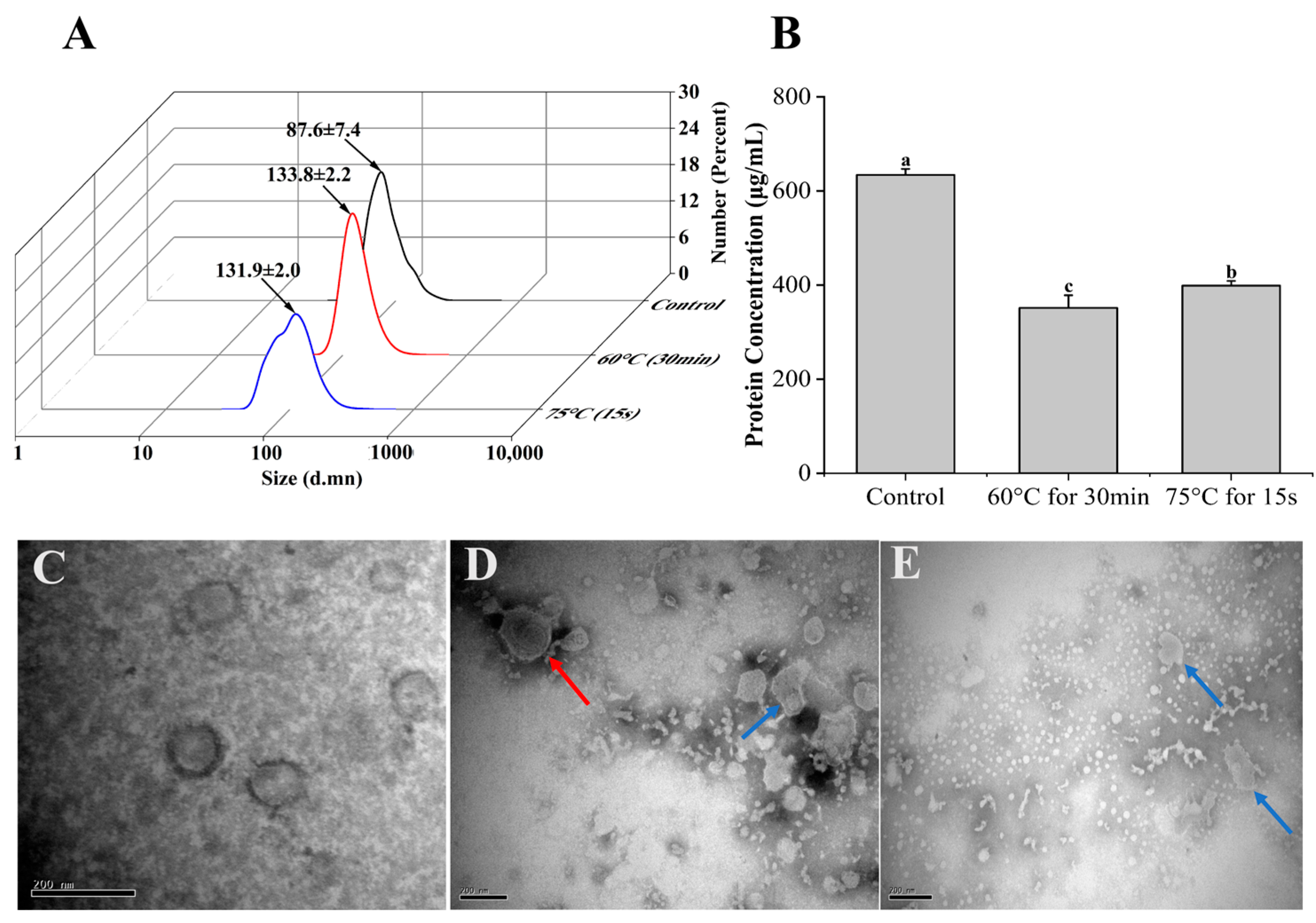 Biomolecules 13 01412 g002