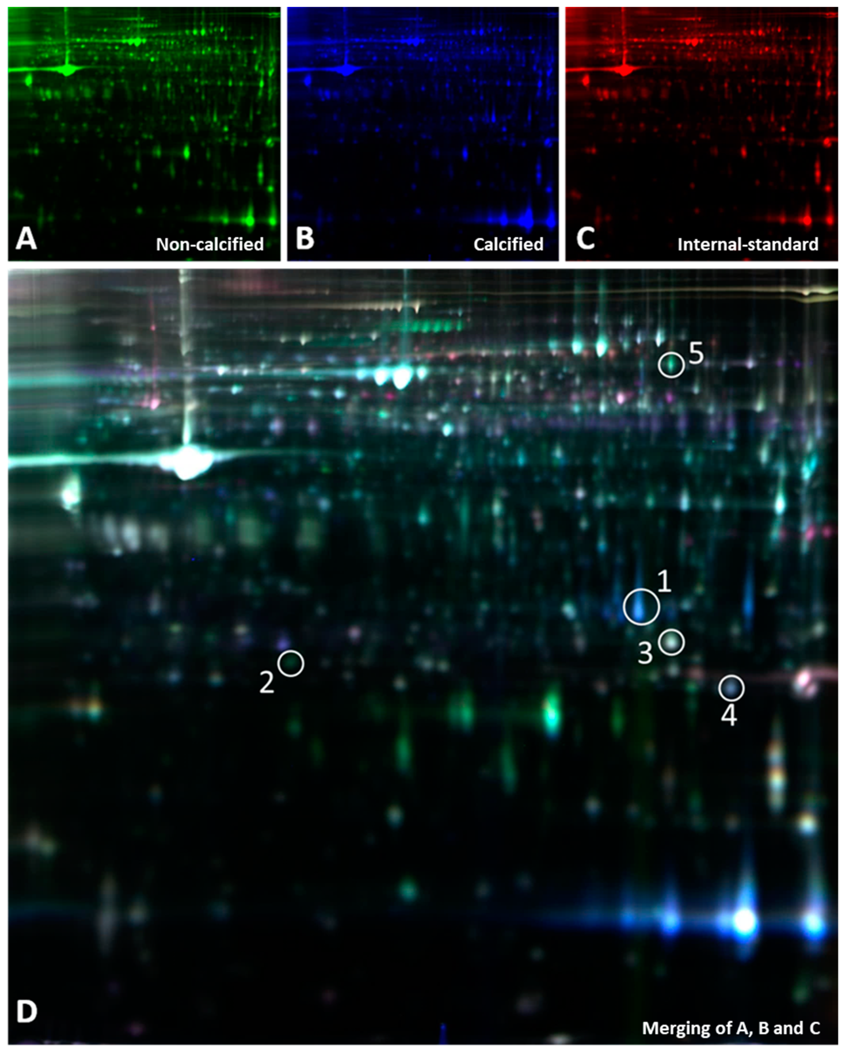 Biomolecules 13 01419 g002