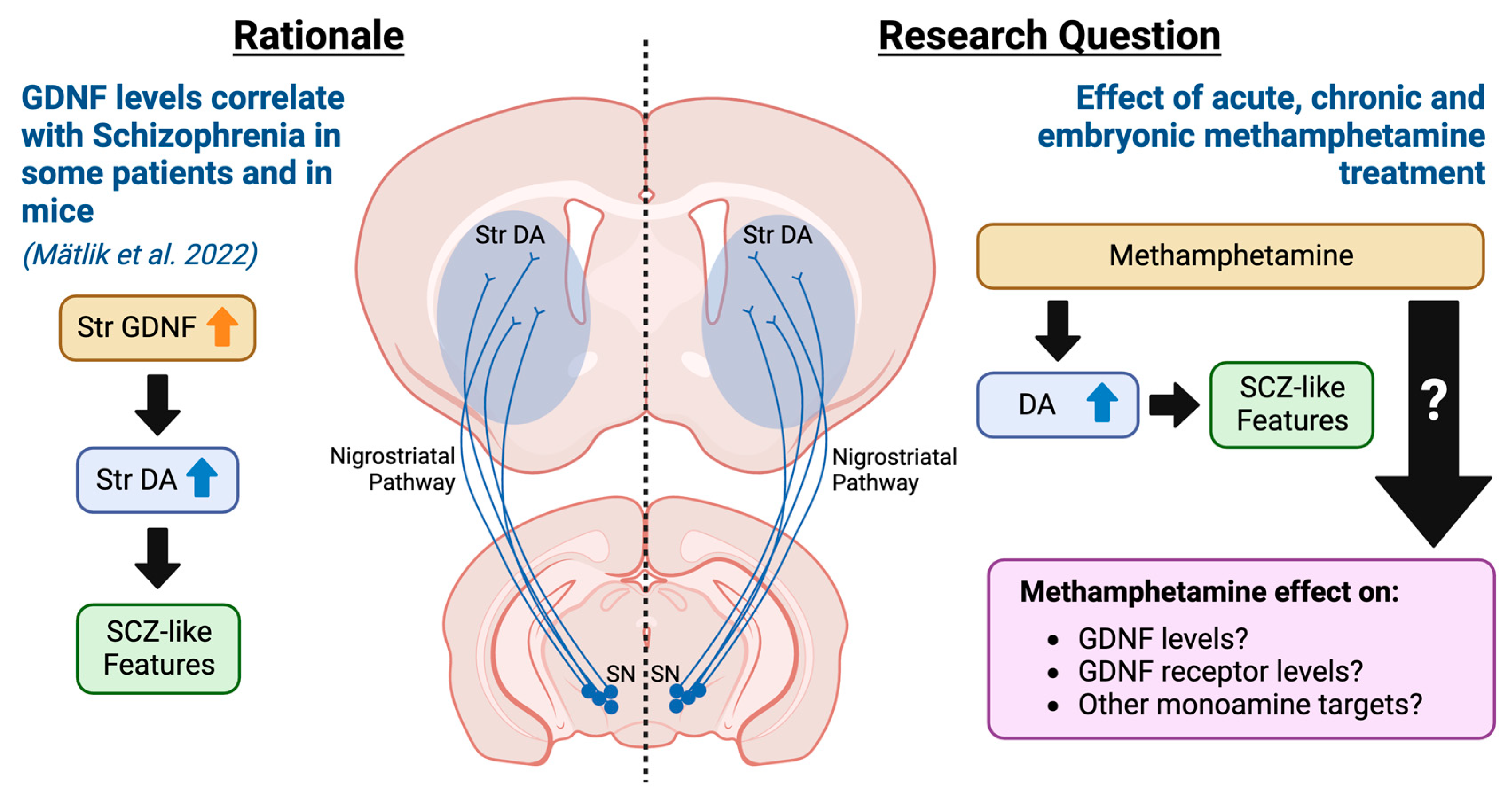Biomolecules 13 01428 g001 Biomolecules 13 01428 g001