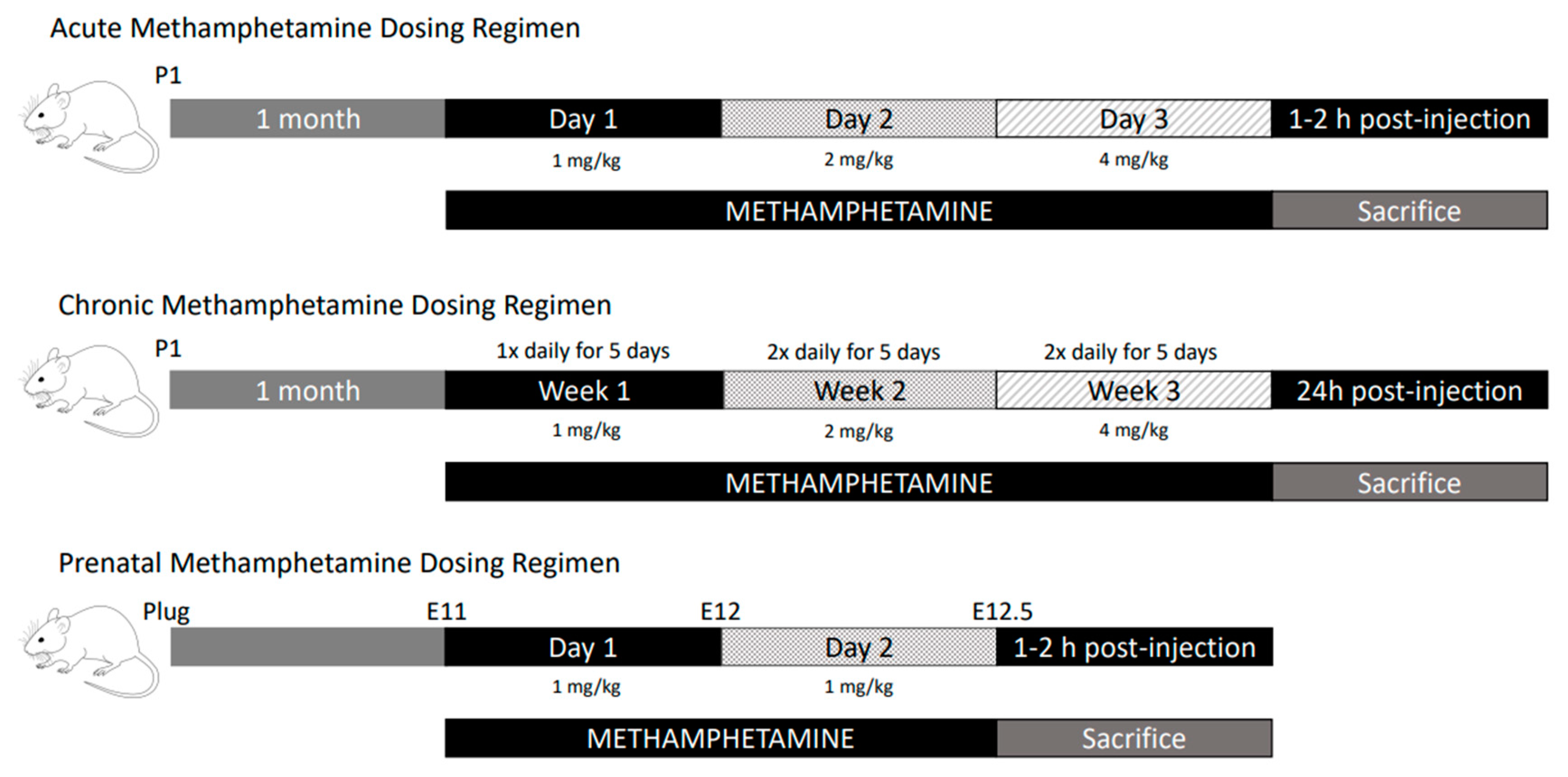 Biomolecules 13 01428 g002 Biomolecules 13 01428 g002