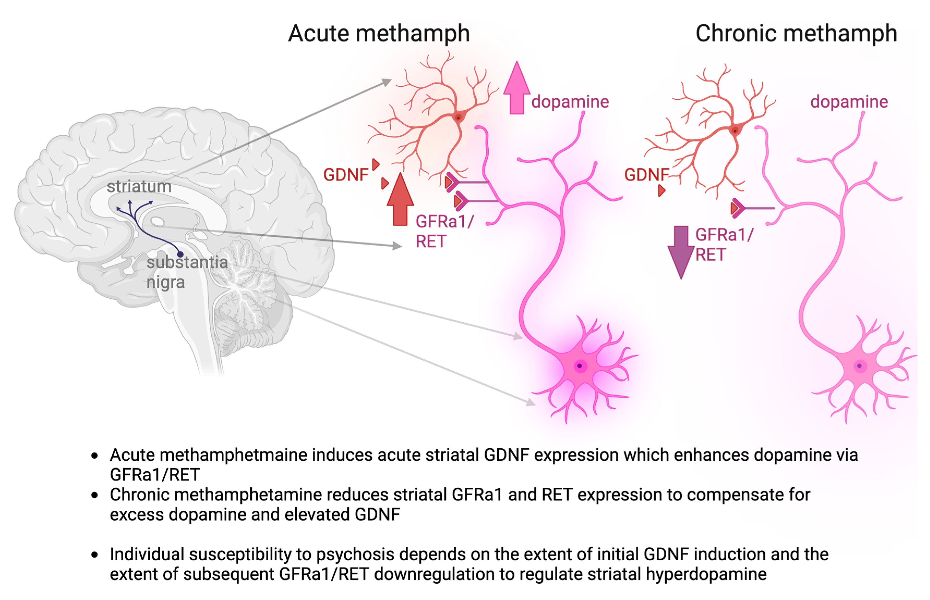 Biomolecules 13 01428 g006 Biomolecules 13 01428 g006