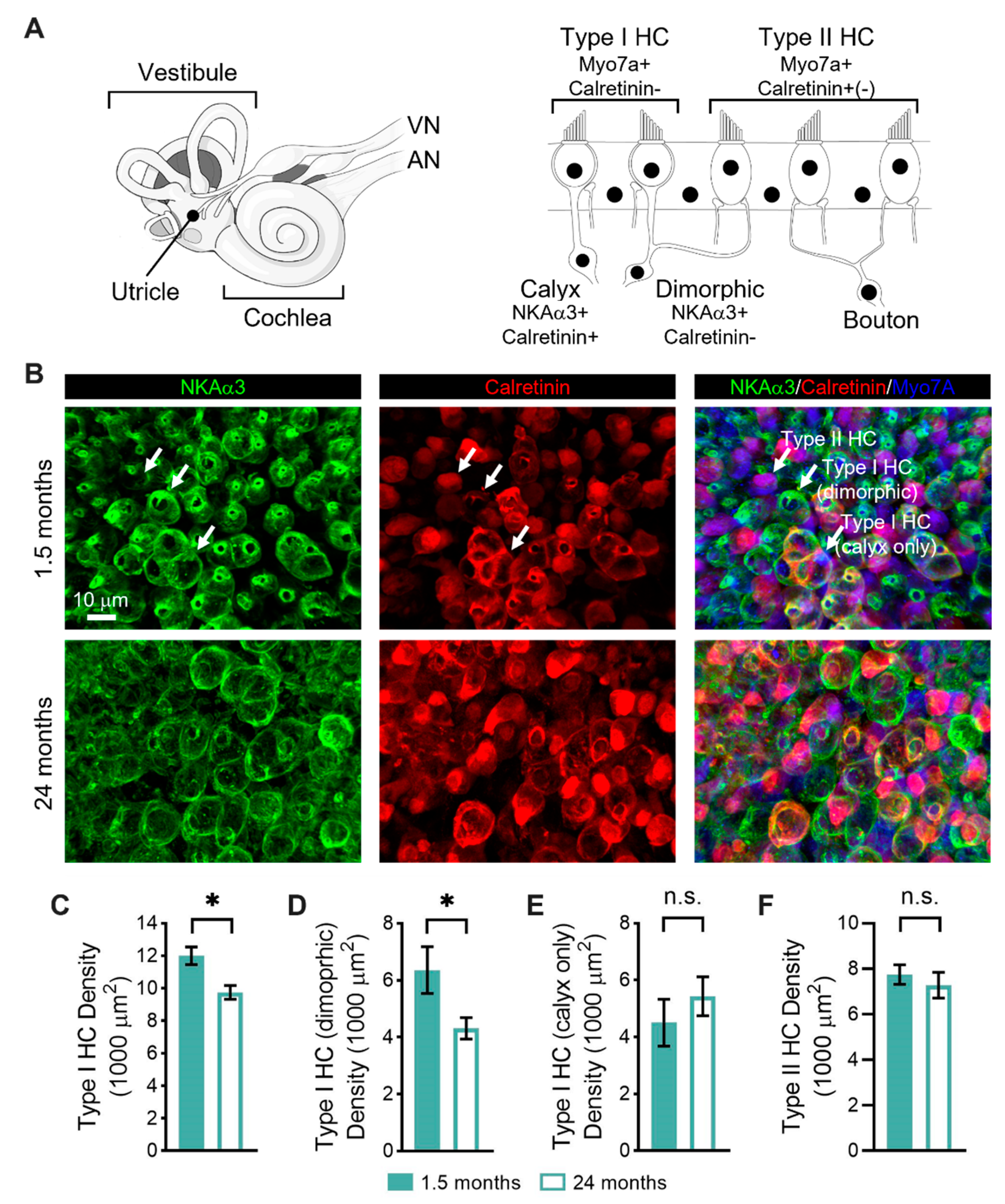 Biomolecules 13 01429 g002 Biomolecules 13 01429 g002