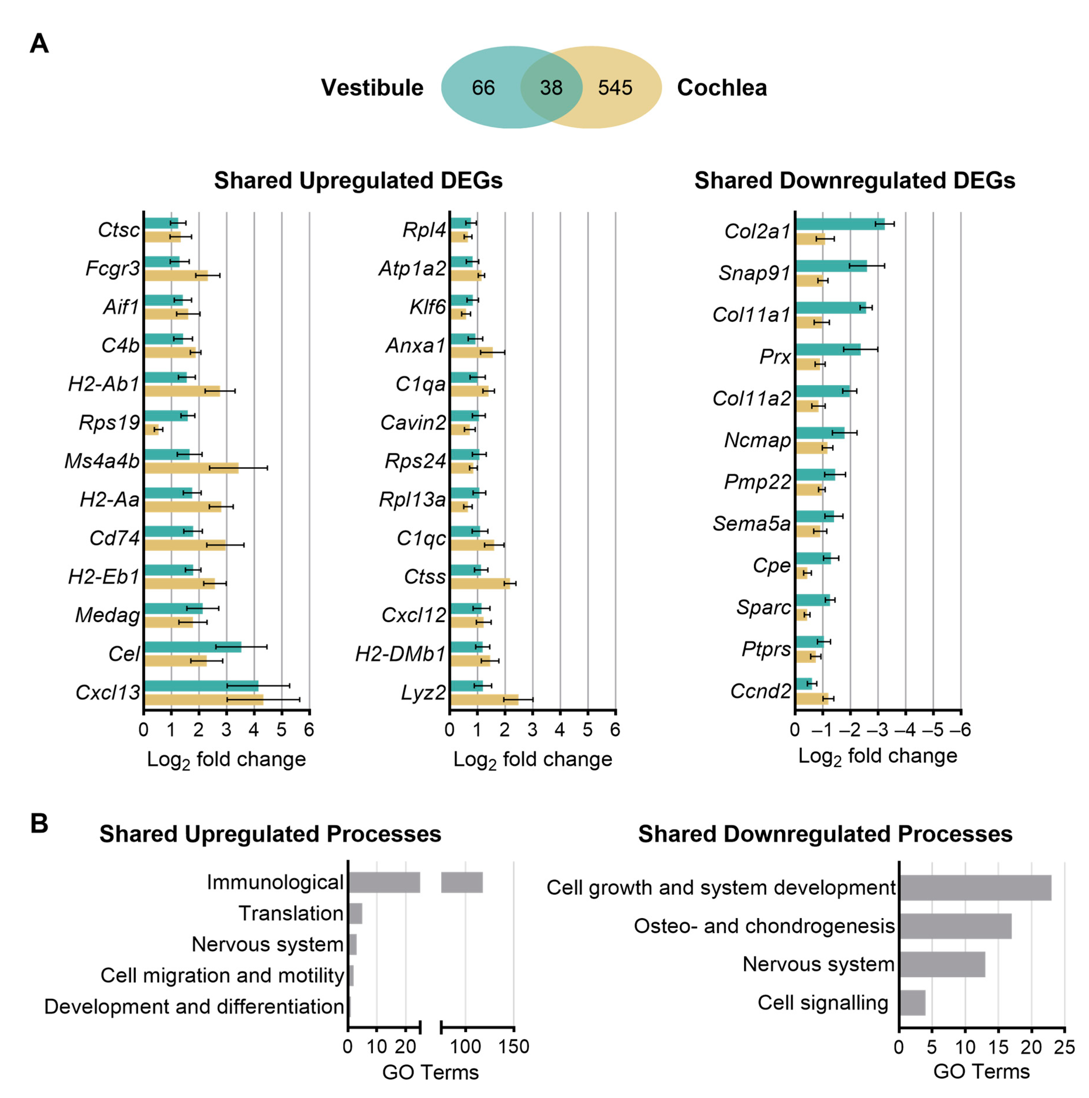 Biomolecules 13 01429 g007 Biomolecules 13 01429 g007