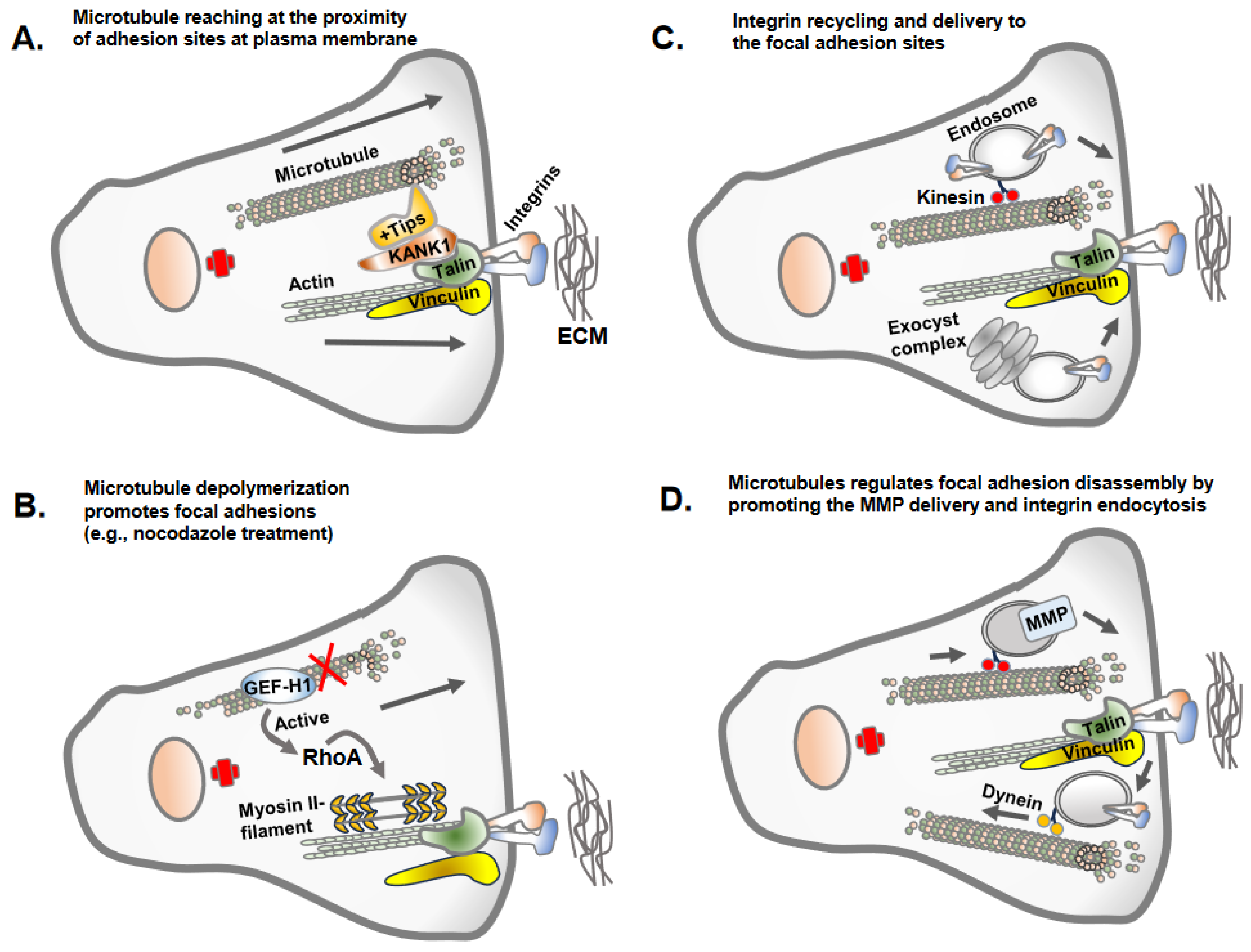 Biomolecules 13 01430 g003