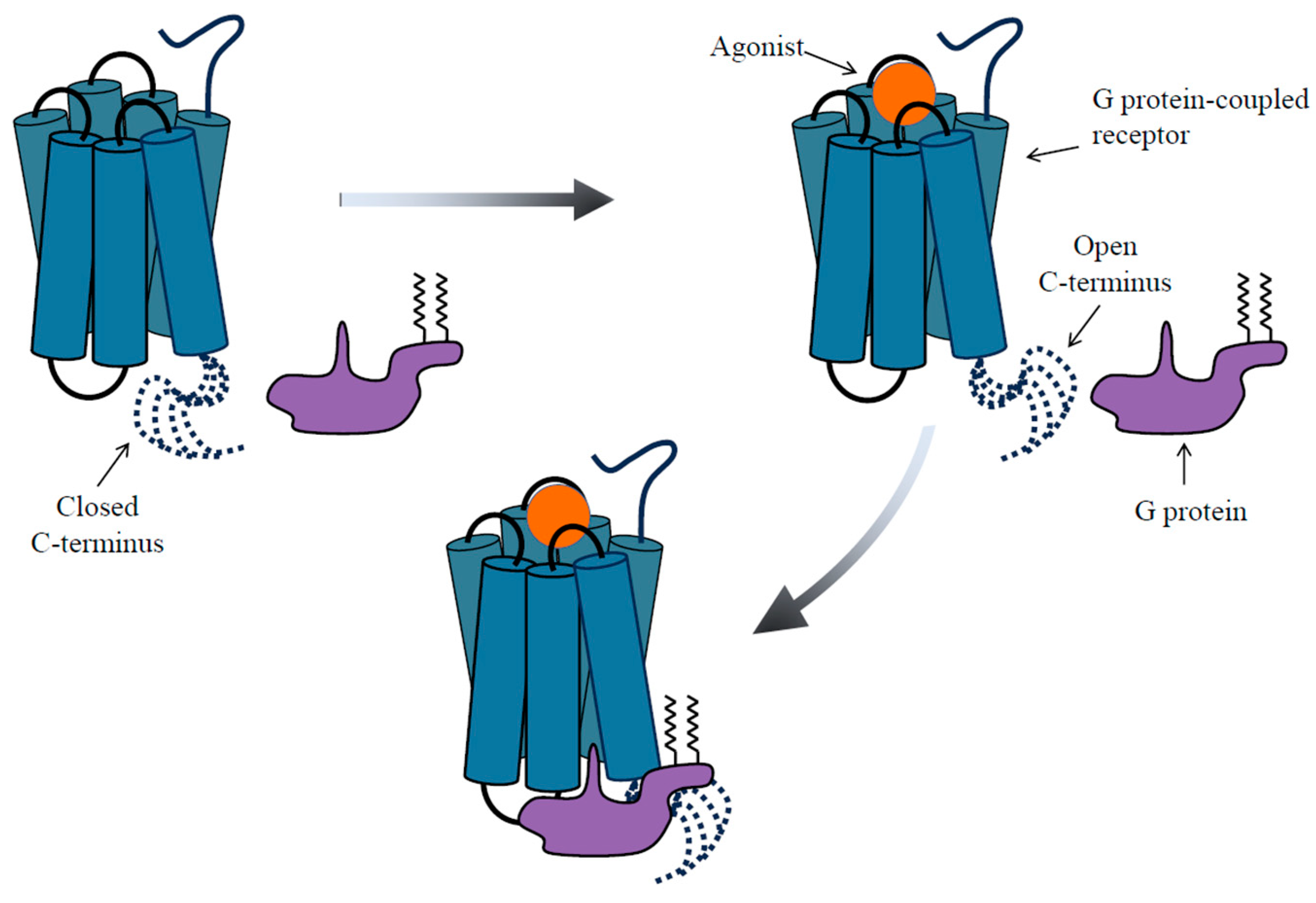 Biomolecules 13 01431 g001 Biomolecules 13 01431 g001