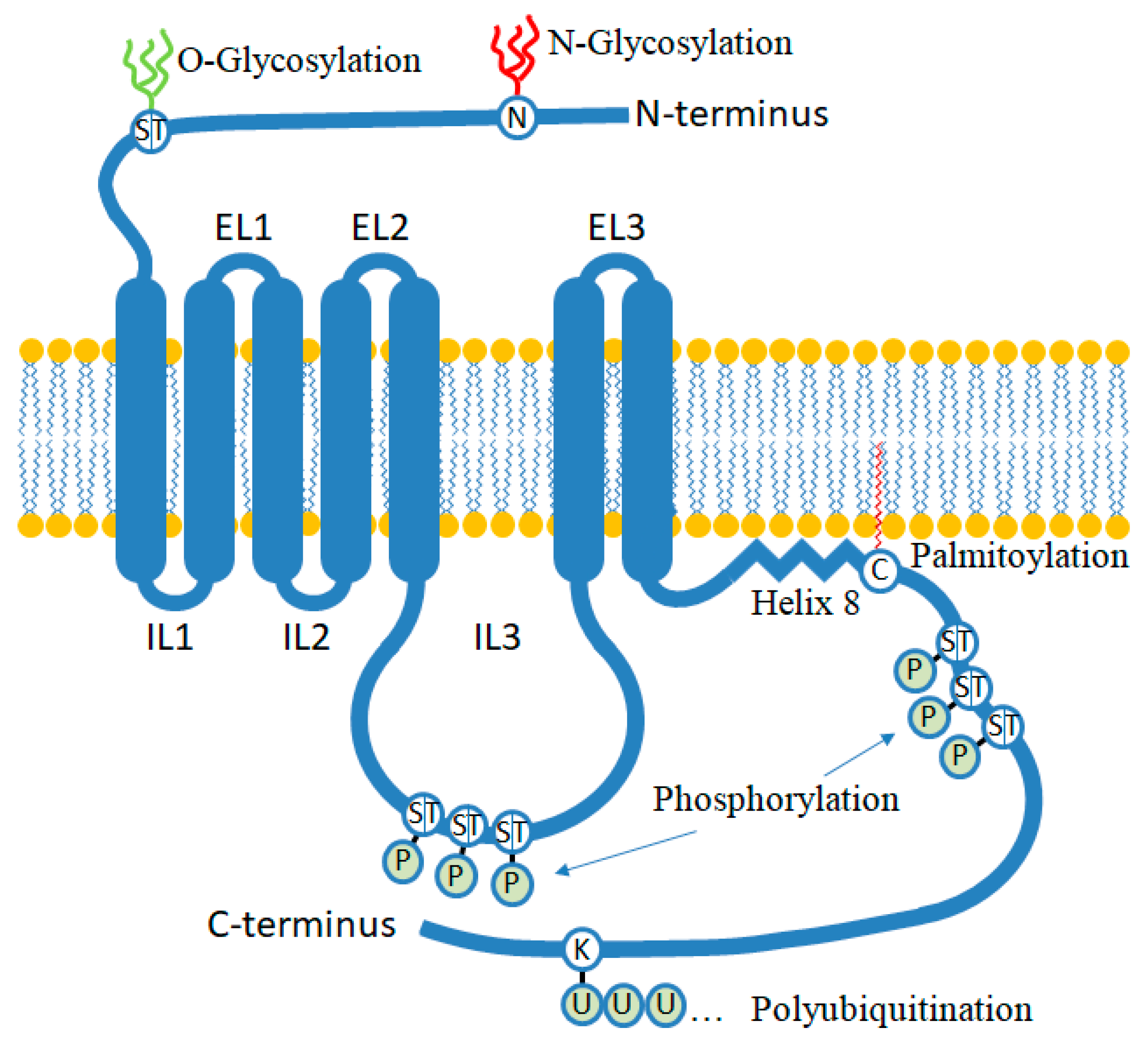 Biomolecules 13 01431 g002 Biomolecules 13 01431 g002
