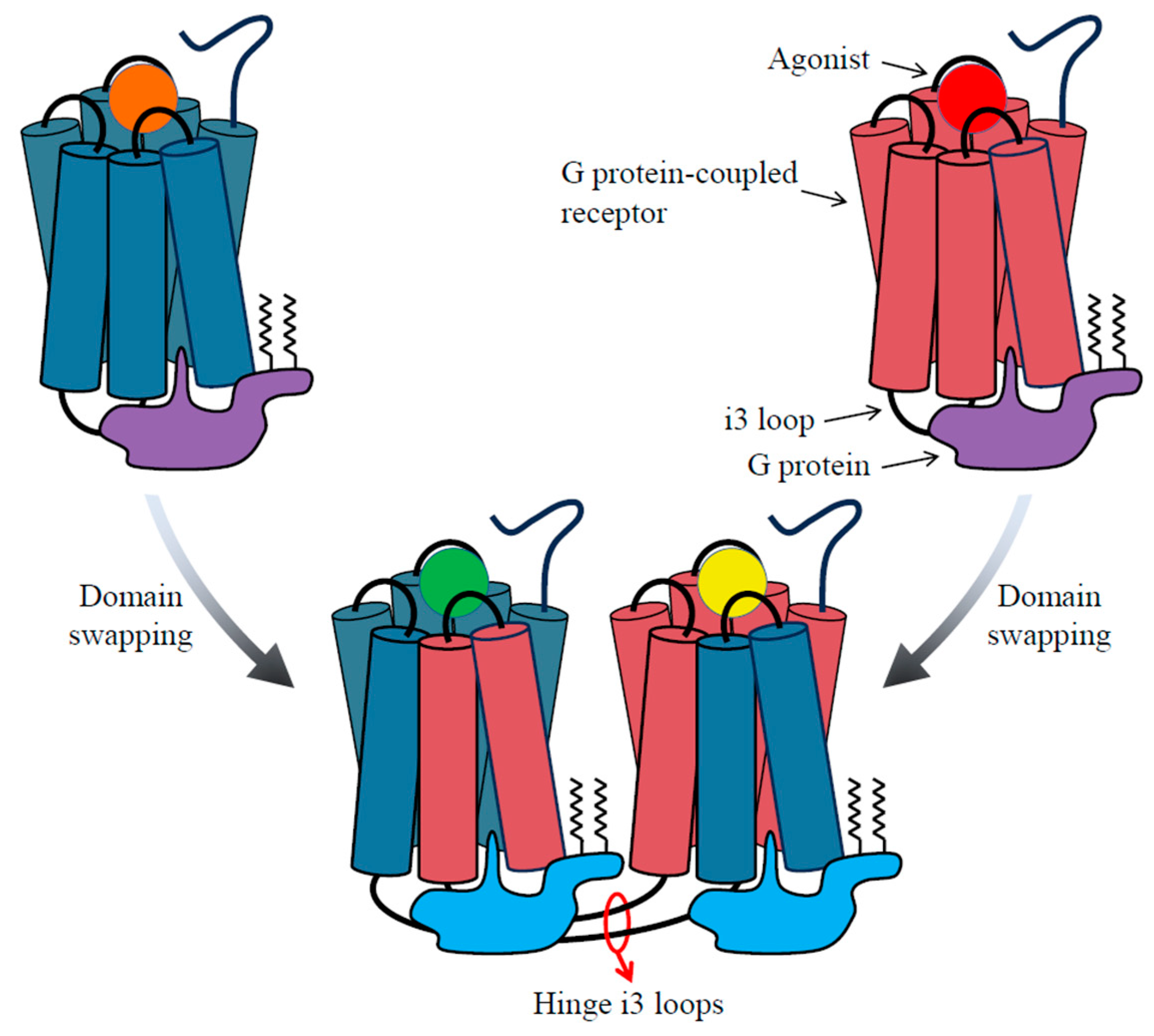 Biomolecules 13 01431 g003 Biomolecules 13 01431 g003