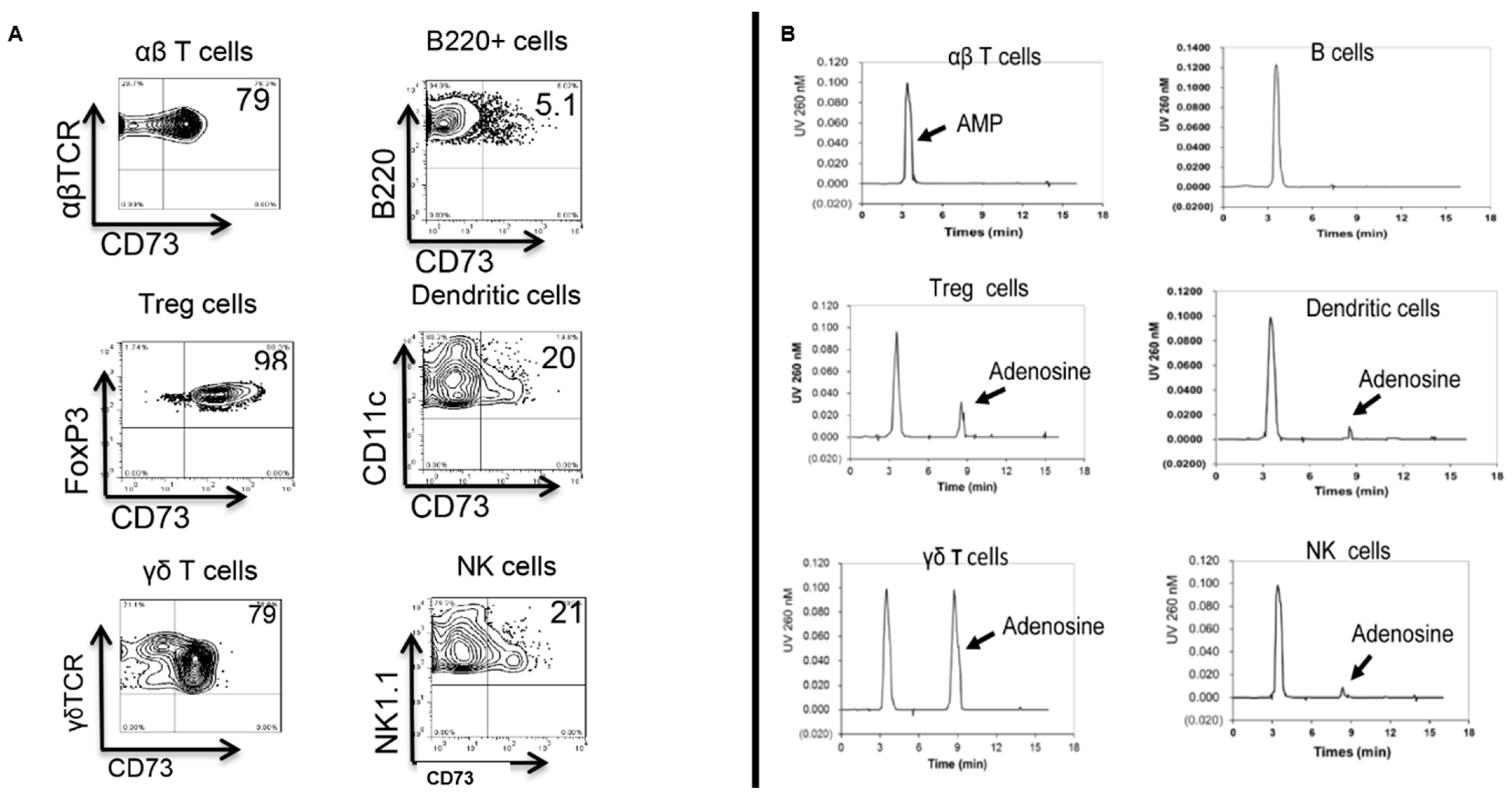Biomolecules 13 01432 g001 Biomolecules 13 01432 g001