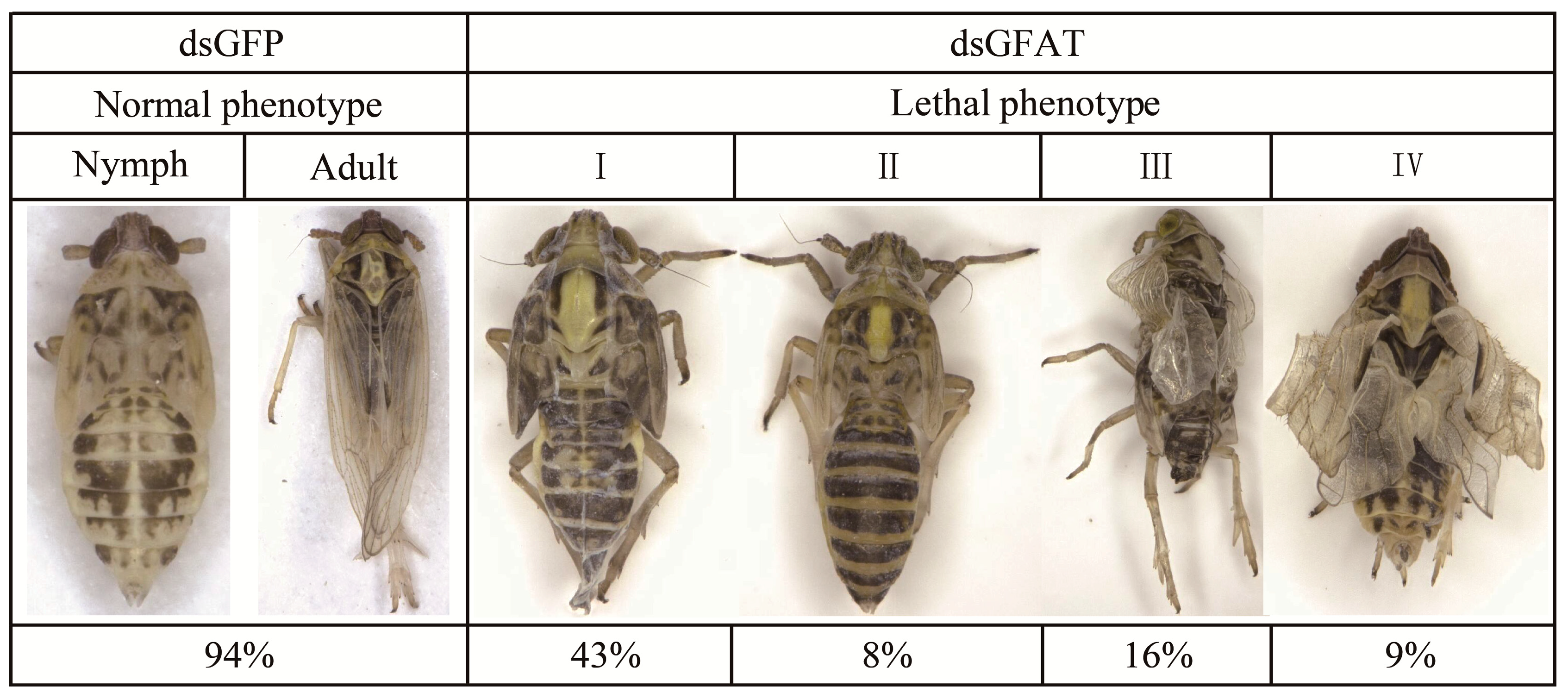 Biomolecules 13 01433 g007 Biomolecules 13 01433 g007