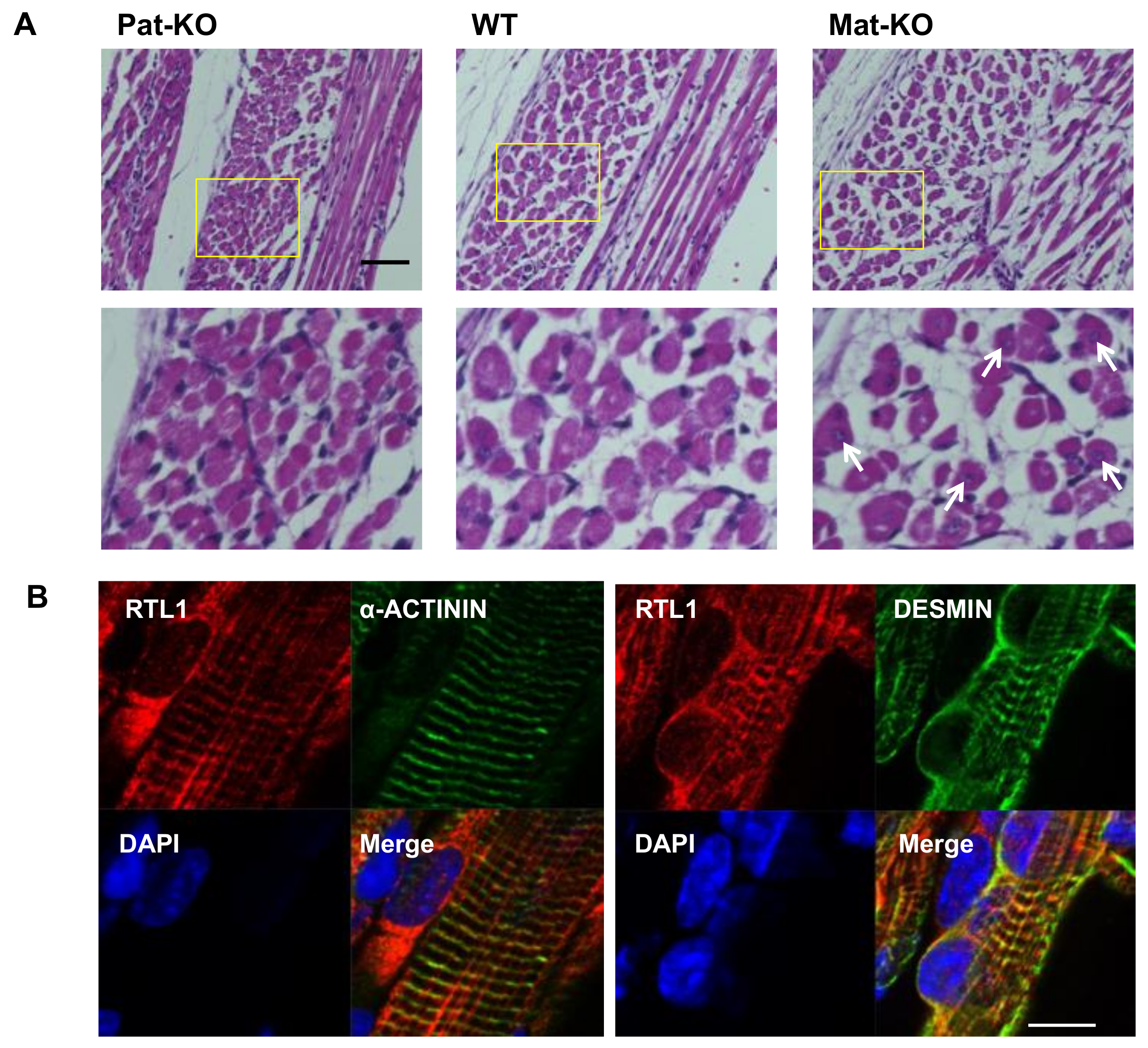 Biomolecules 13 01436 g003 Biomolecules 13 01436 g003