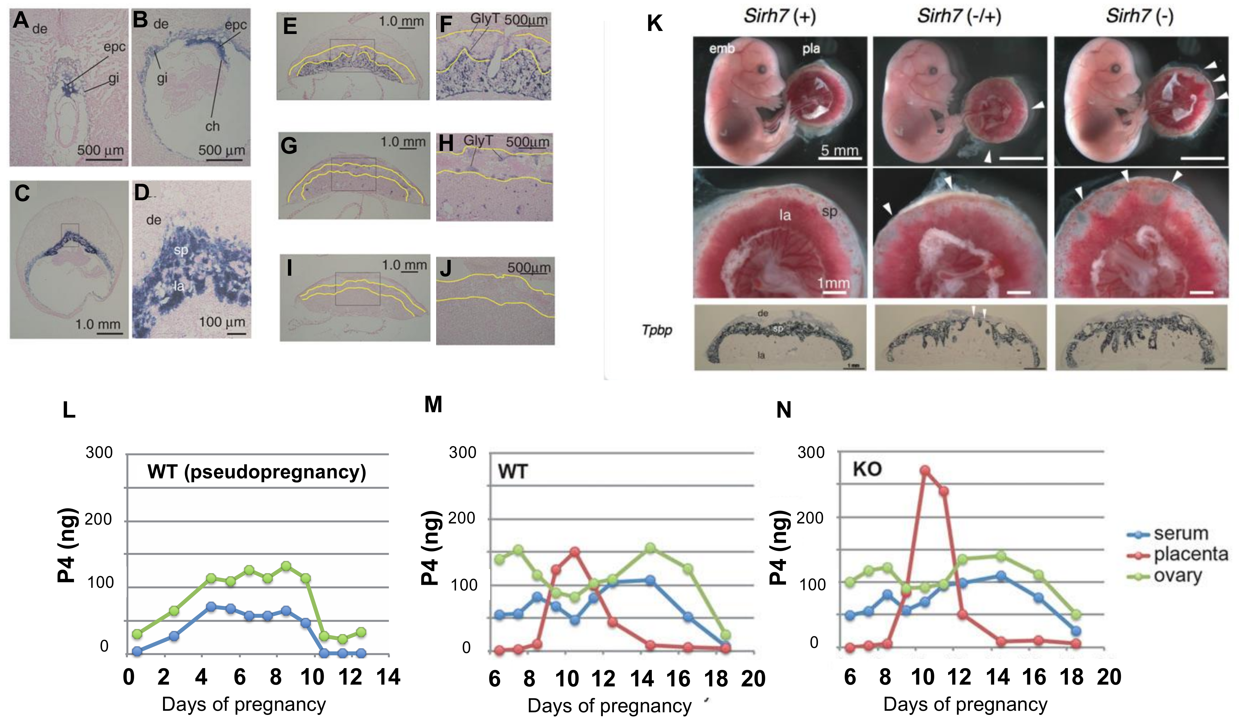 Biomolecules 13 01436 g005 Biomolecules 13 01436 g005