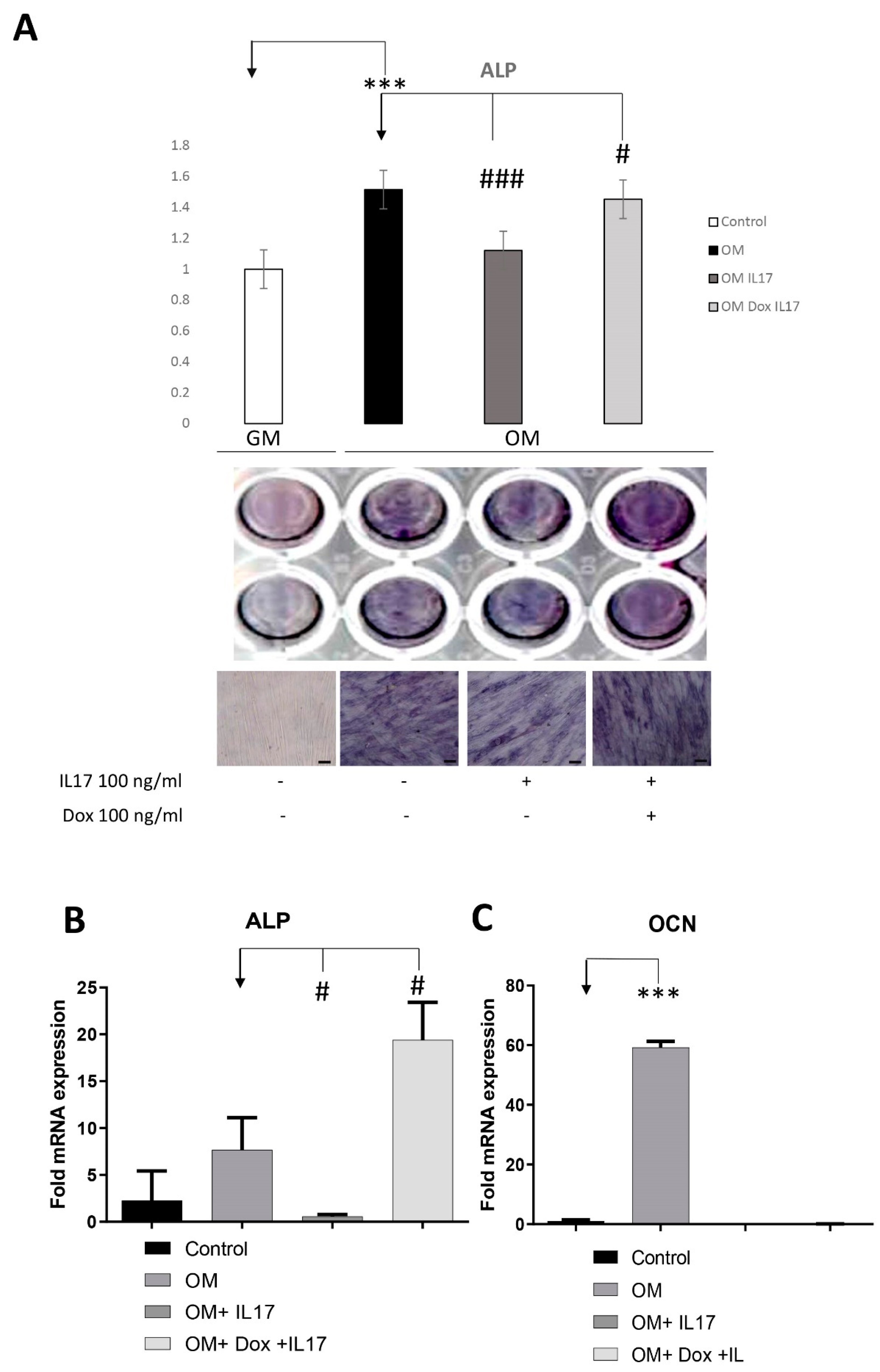 Biomolecules 13 01437 g004
