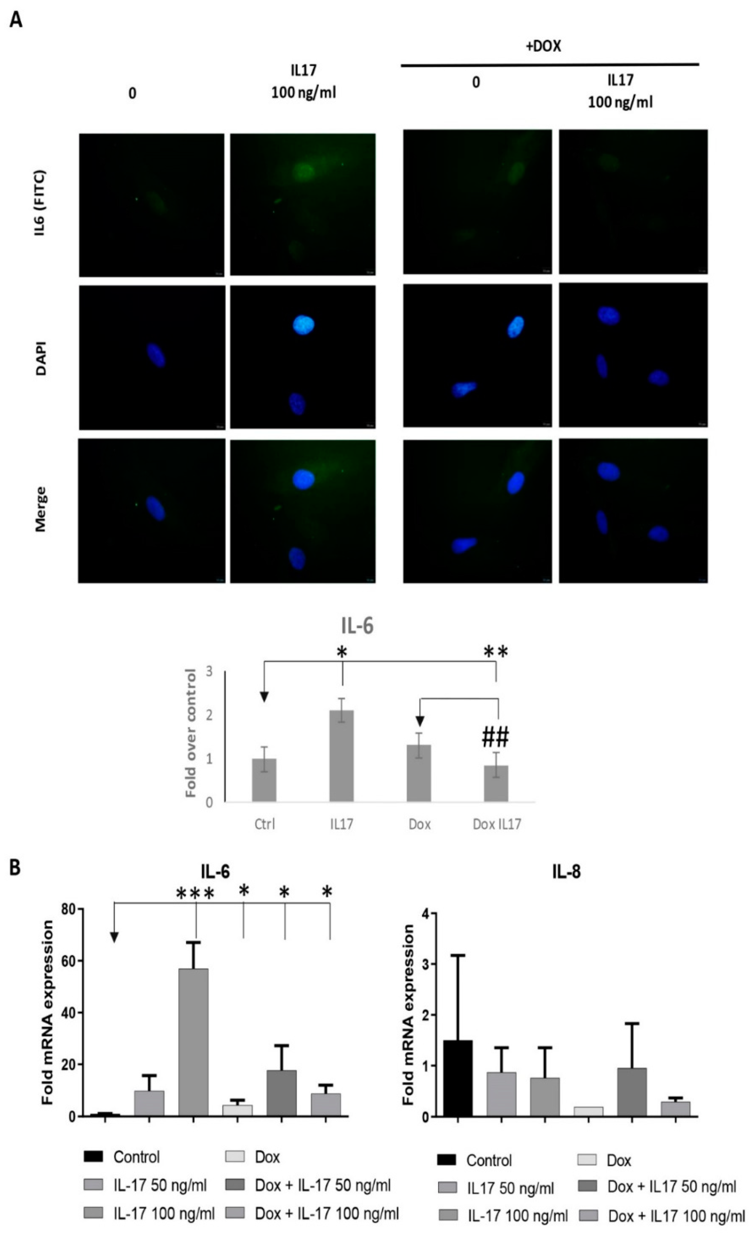 Biomolecules 13 01437 g006