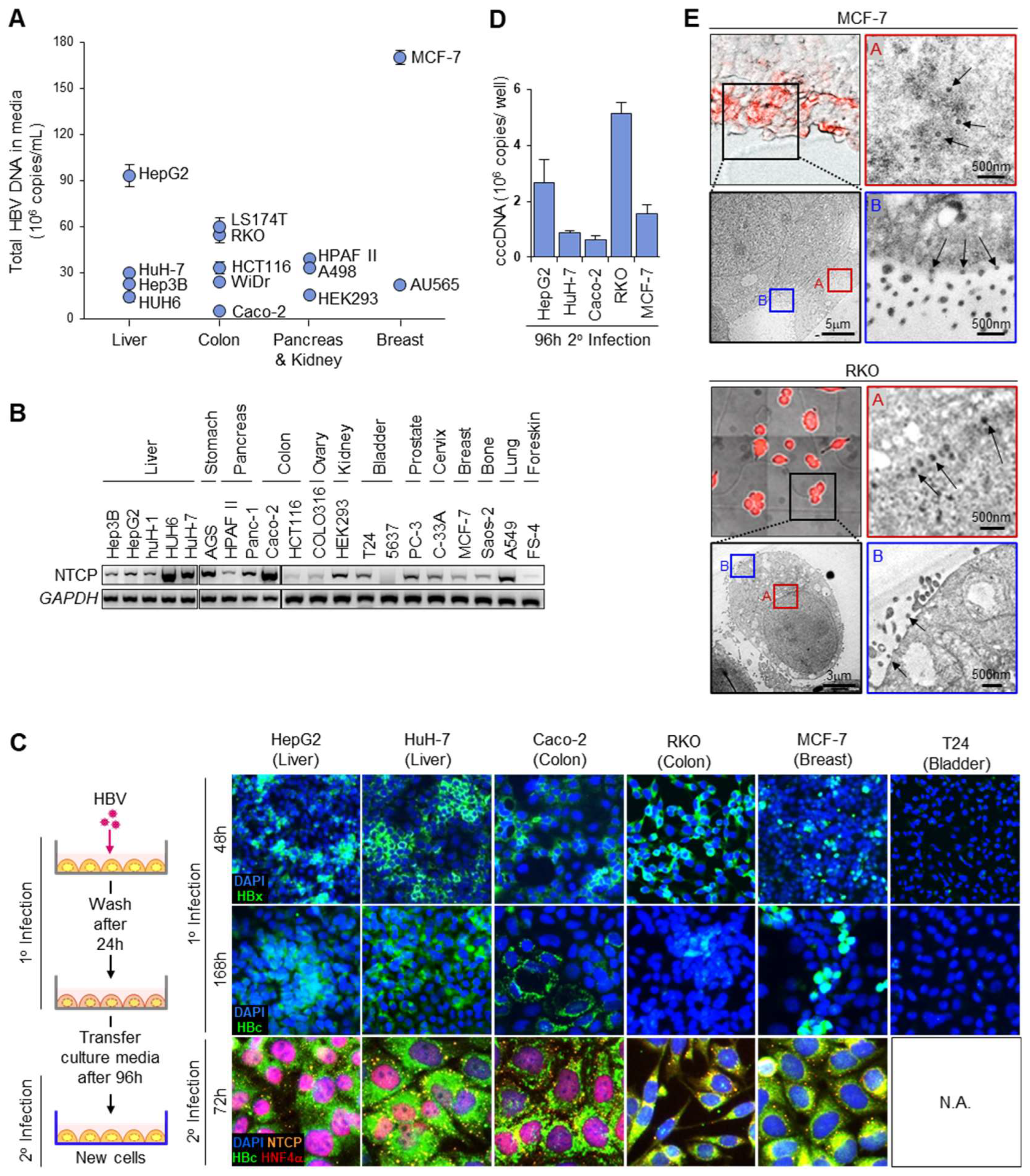 Biomolecules 13 01438 g001