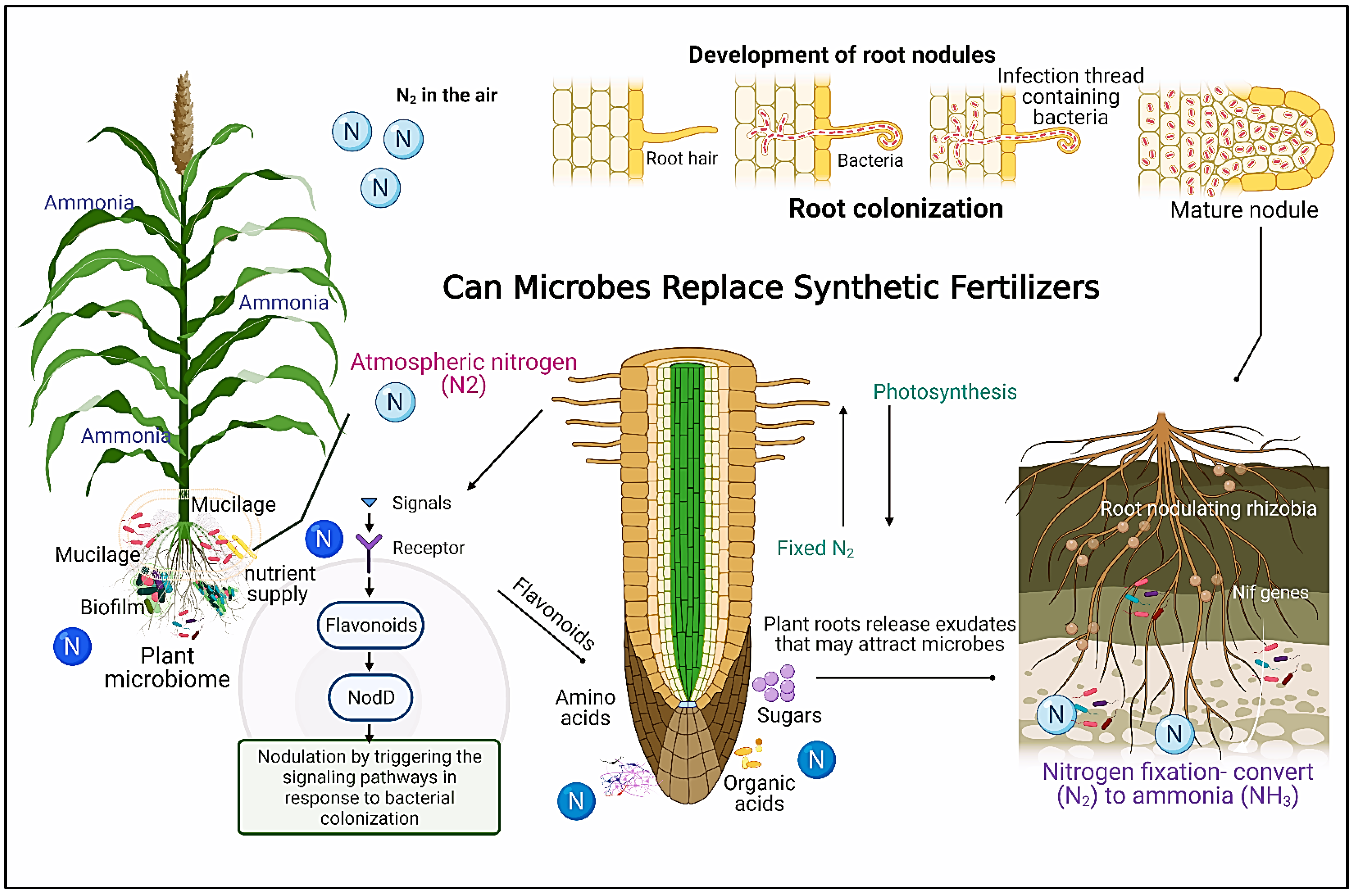 Biomolecules 13 01443 g005 Biomolecules 13 01443 g005