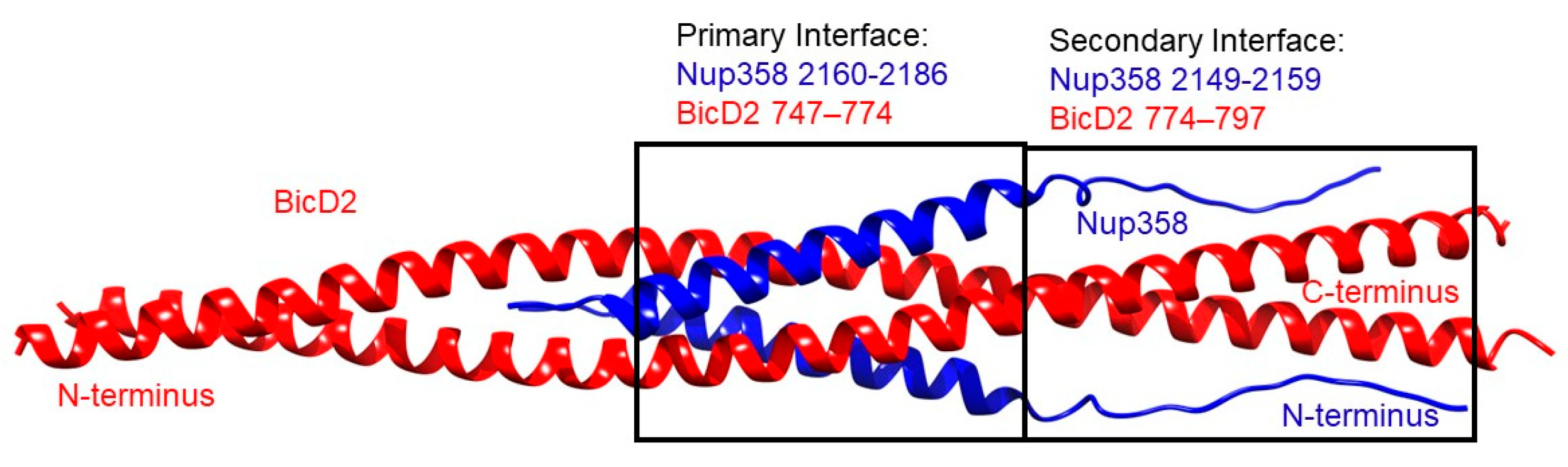 Biomolecules 13 01445 g002