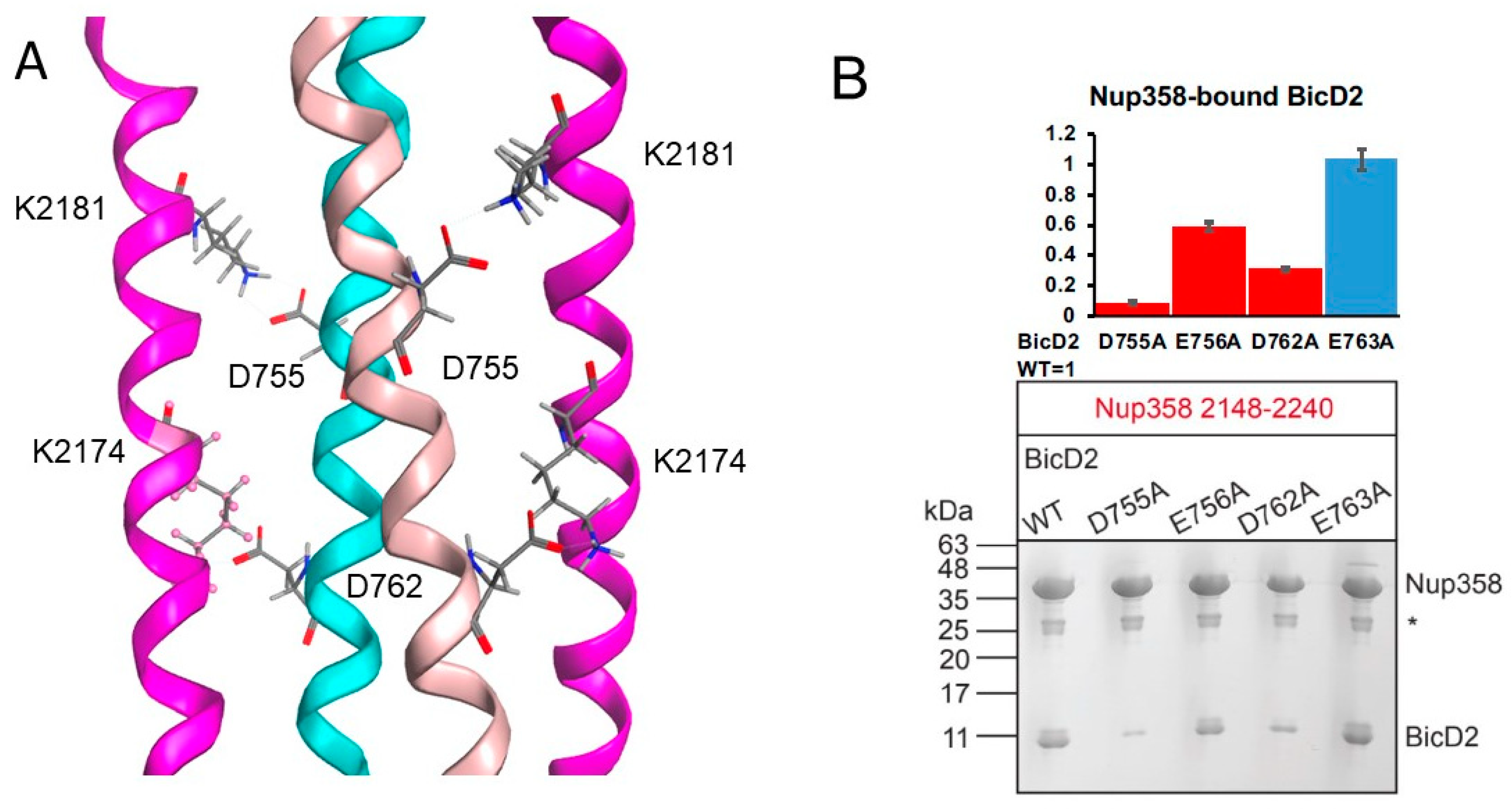 Biomolecules 13 01445 g006