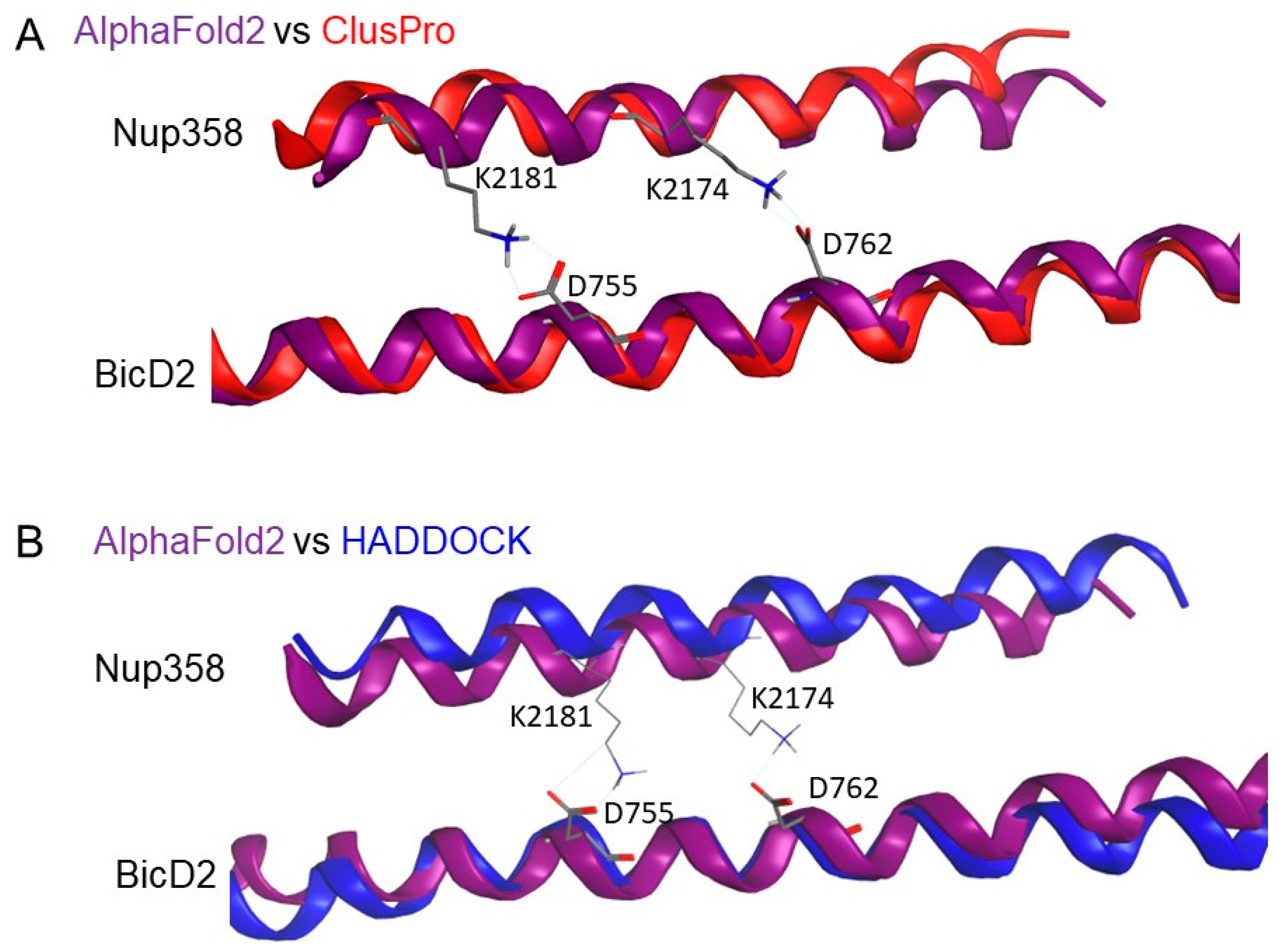 Biomolecules 13 01445 g007