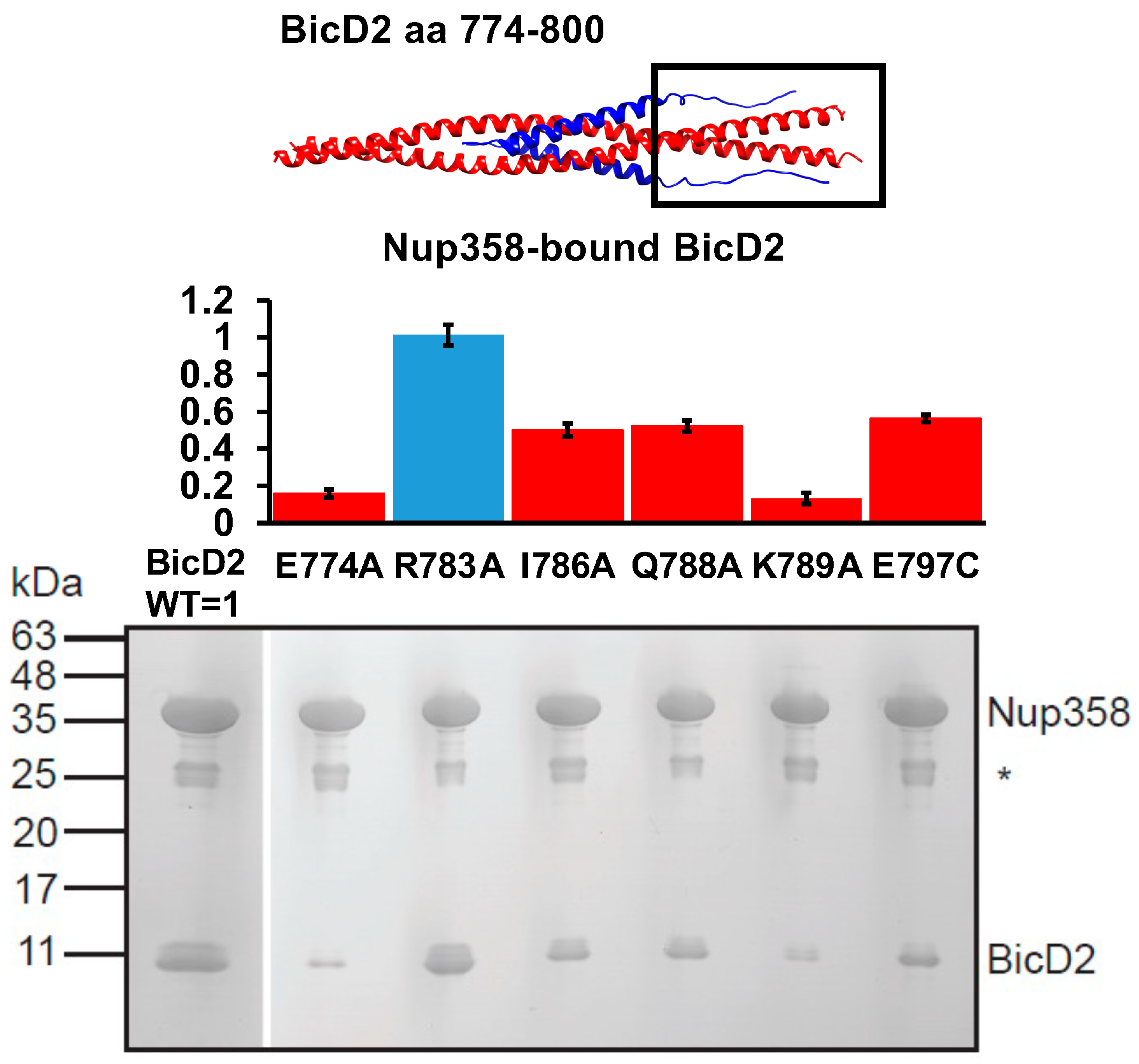Biomolecules 13 01445 g008