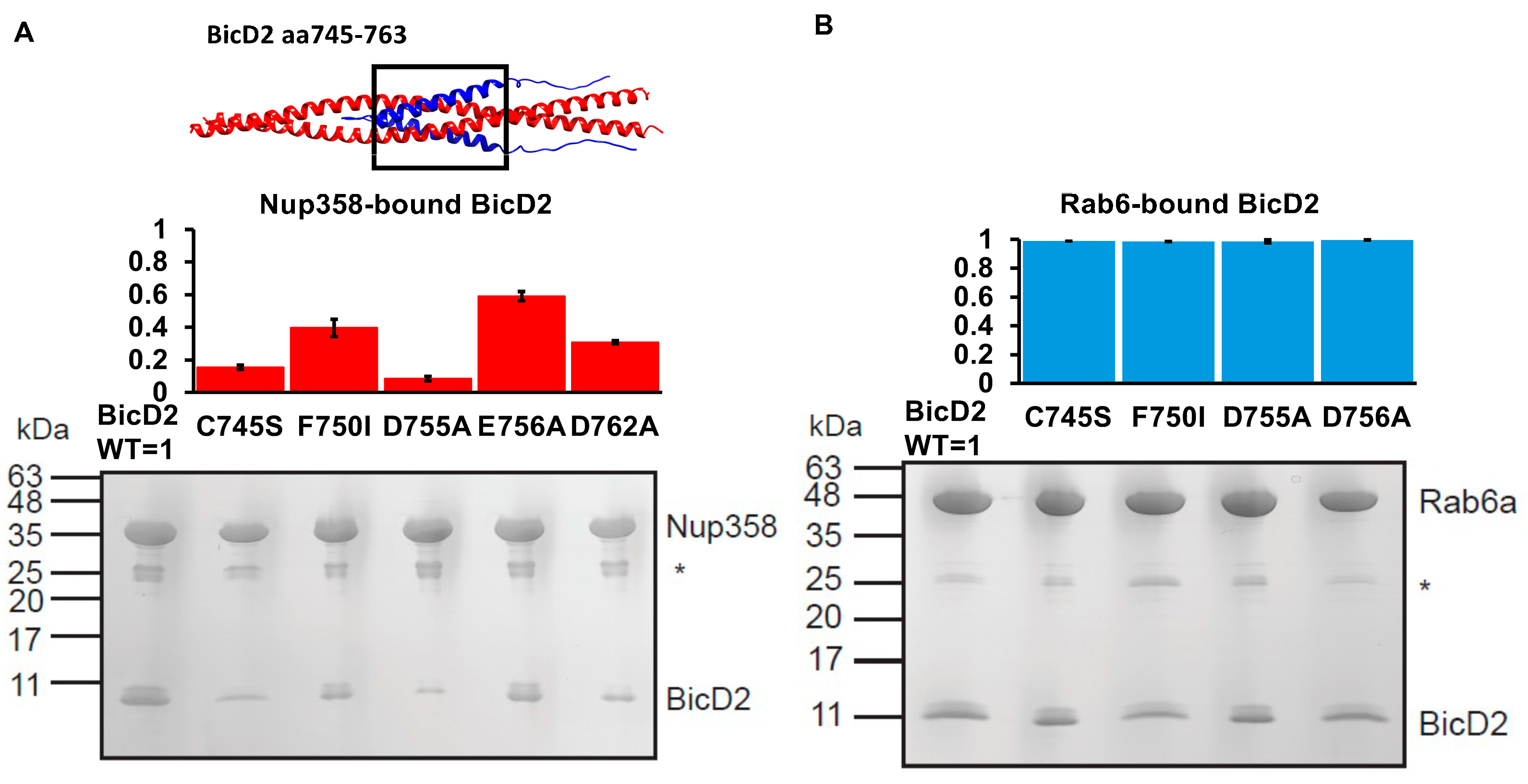 Biomolecules 13 01445 g009